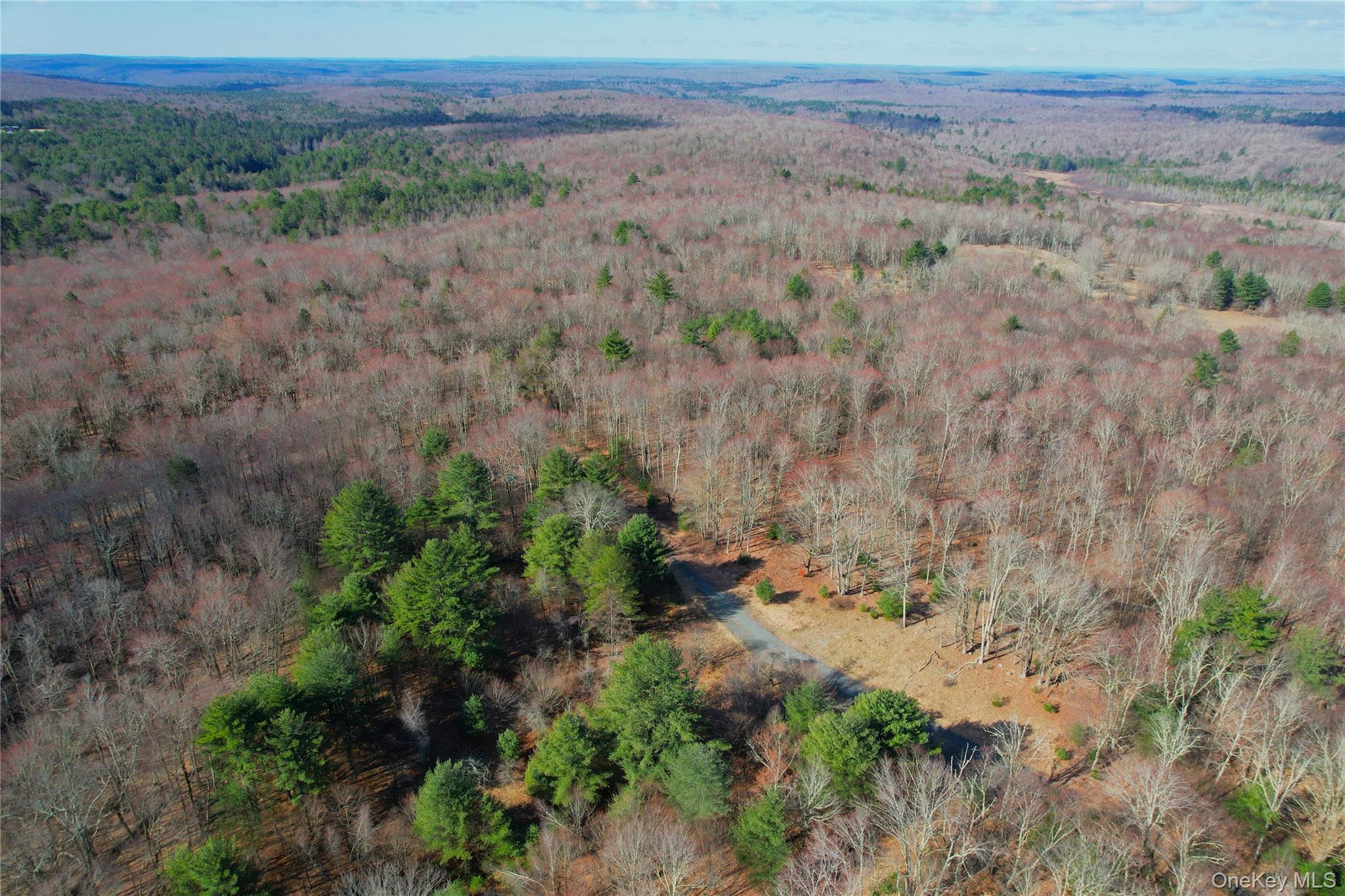 118 Hilltop Road – For Sale photo 46