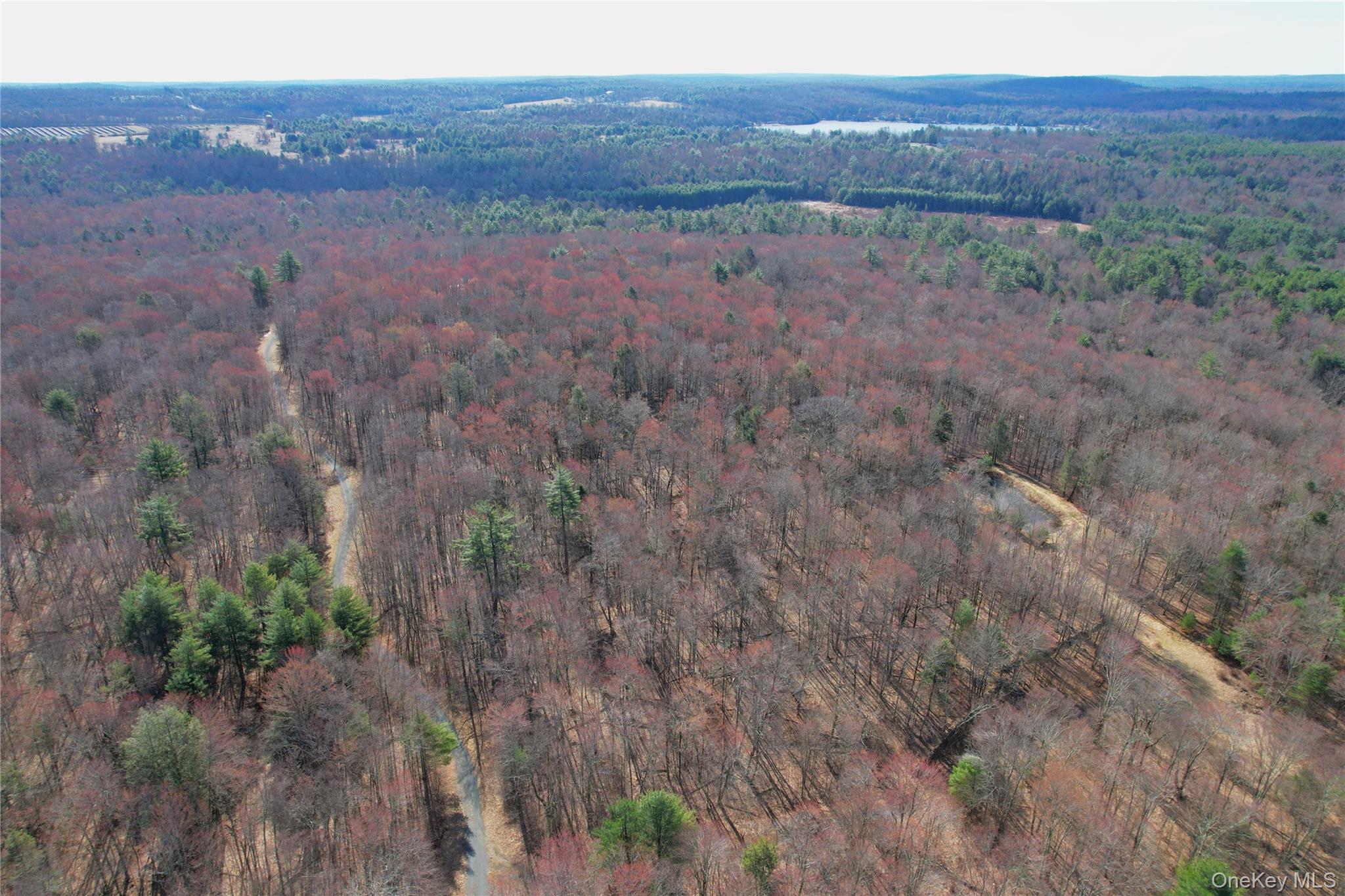 118 Hilltop Road – For Sale photo 48