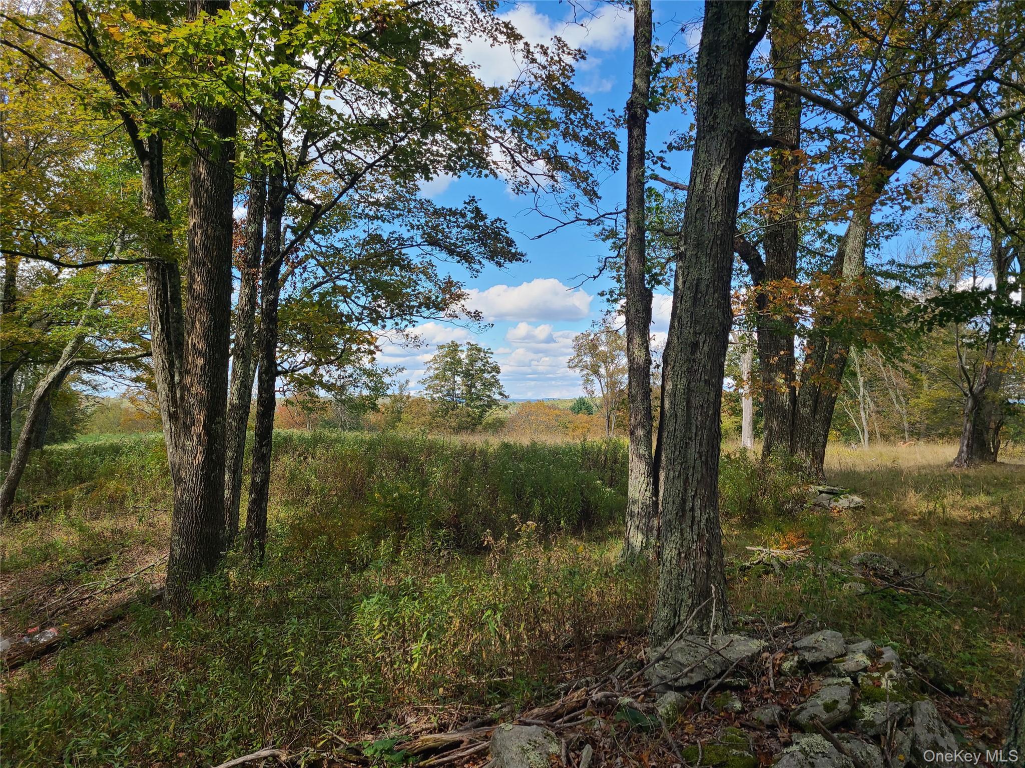 118 Hilltop Road – For Sale photo 15