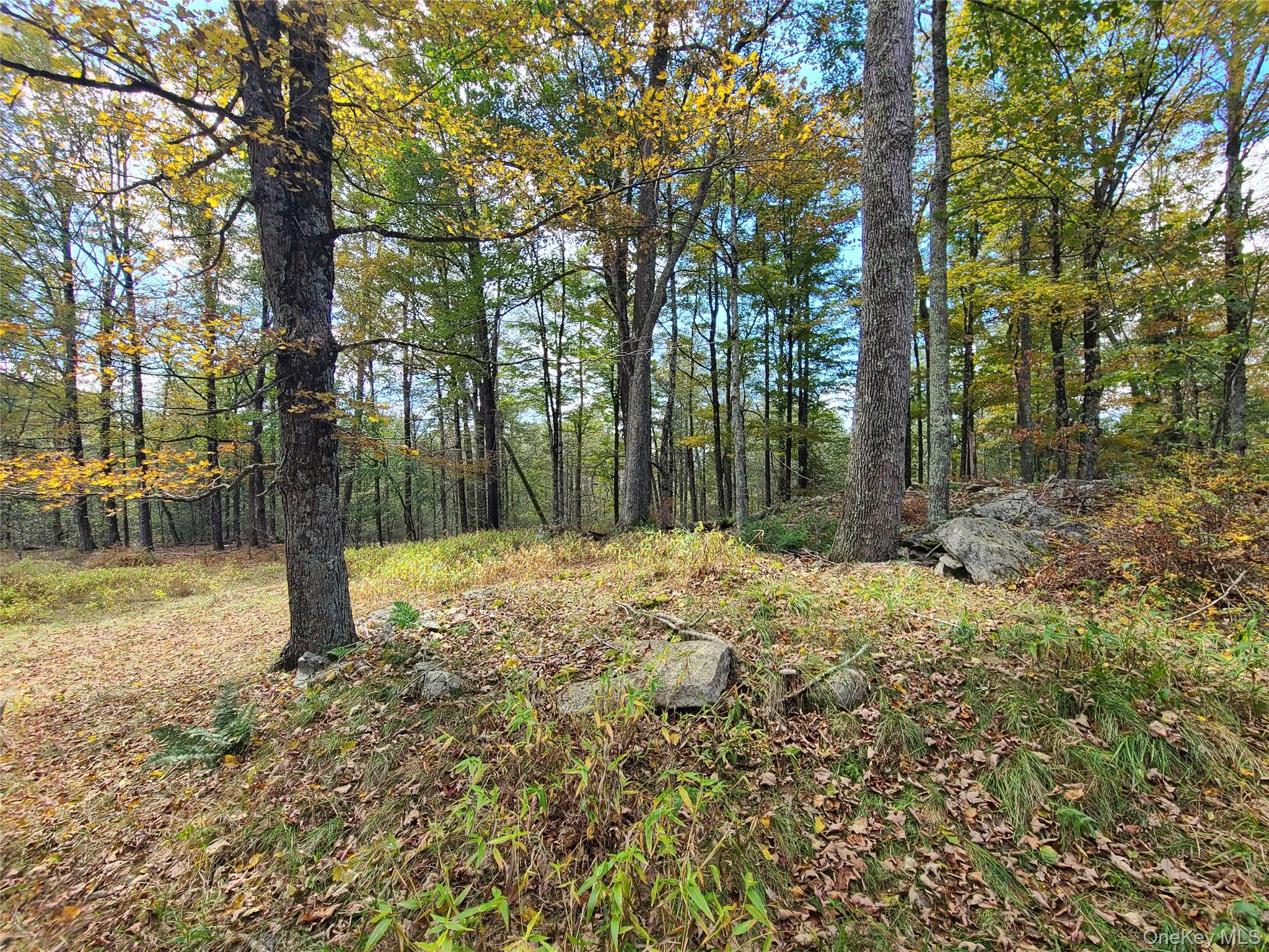 118 Hilltop Road – For Sale photo 12