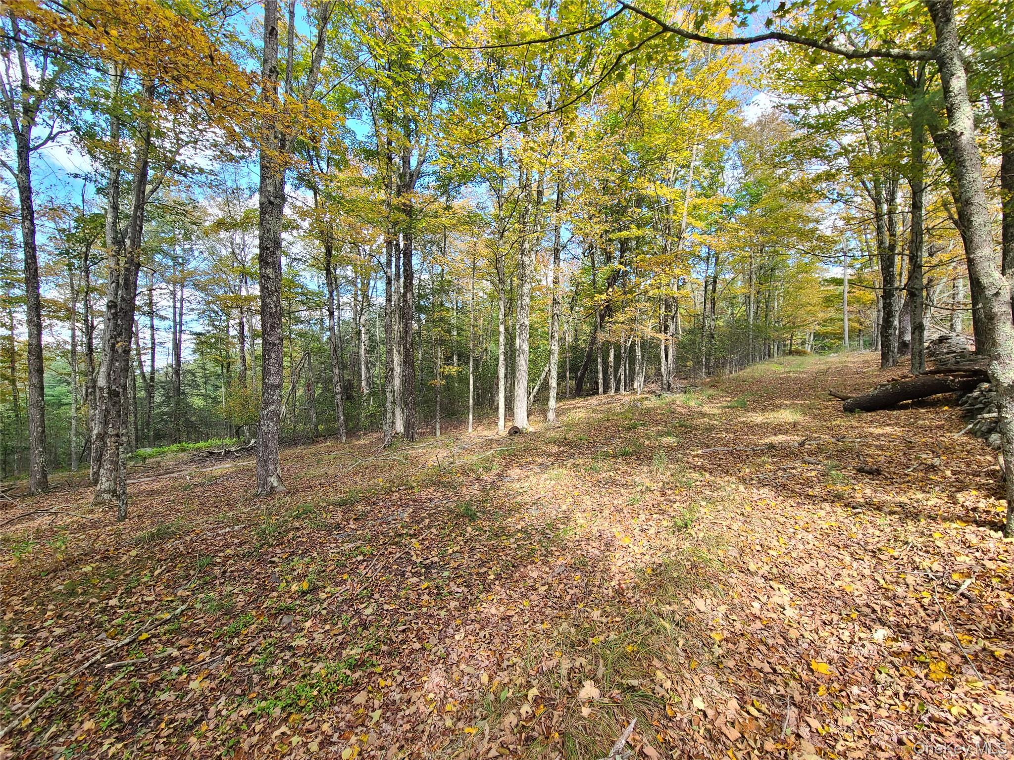 118 Hilltop Road – For Sale photo 25