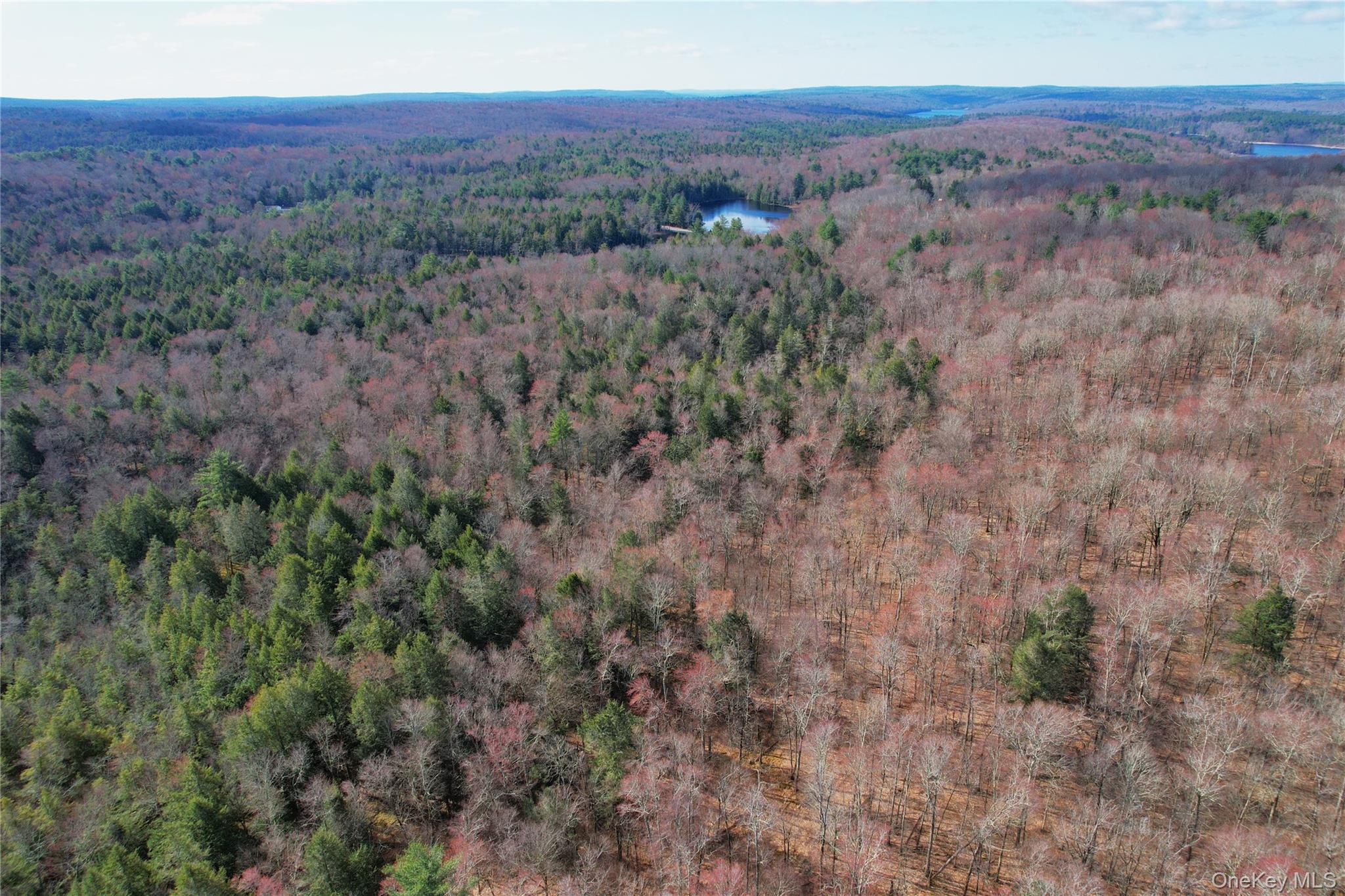 118 Hilltop Road – For Sale photo 43