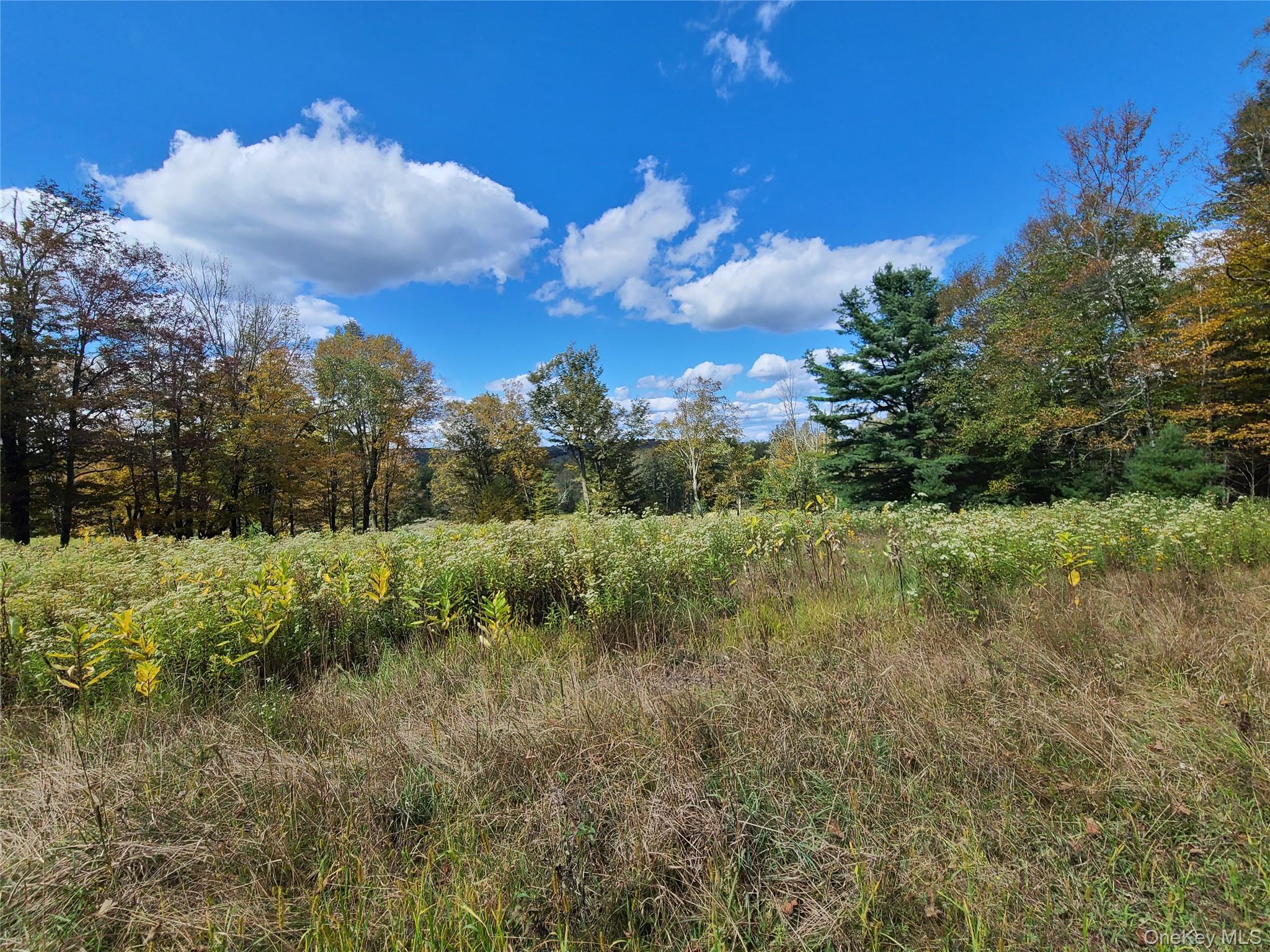 118 Hilltop Road – For Sale photo 20