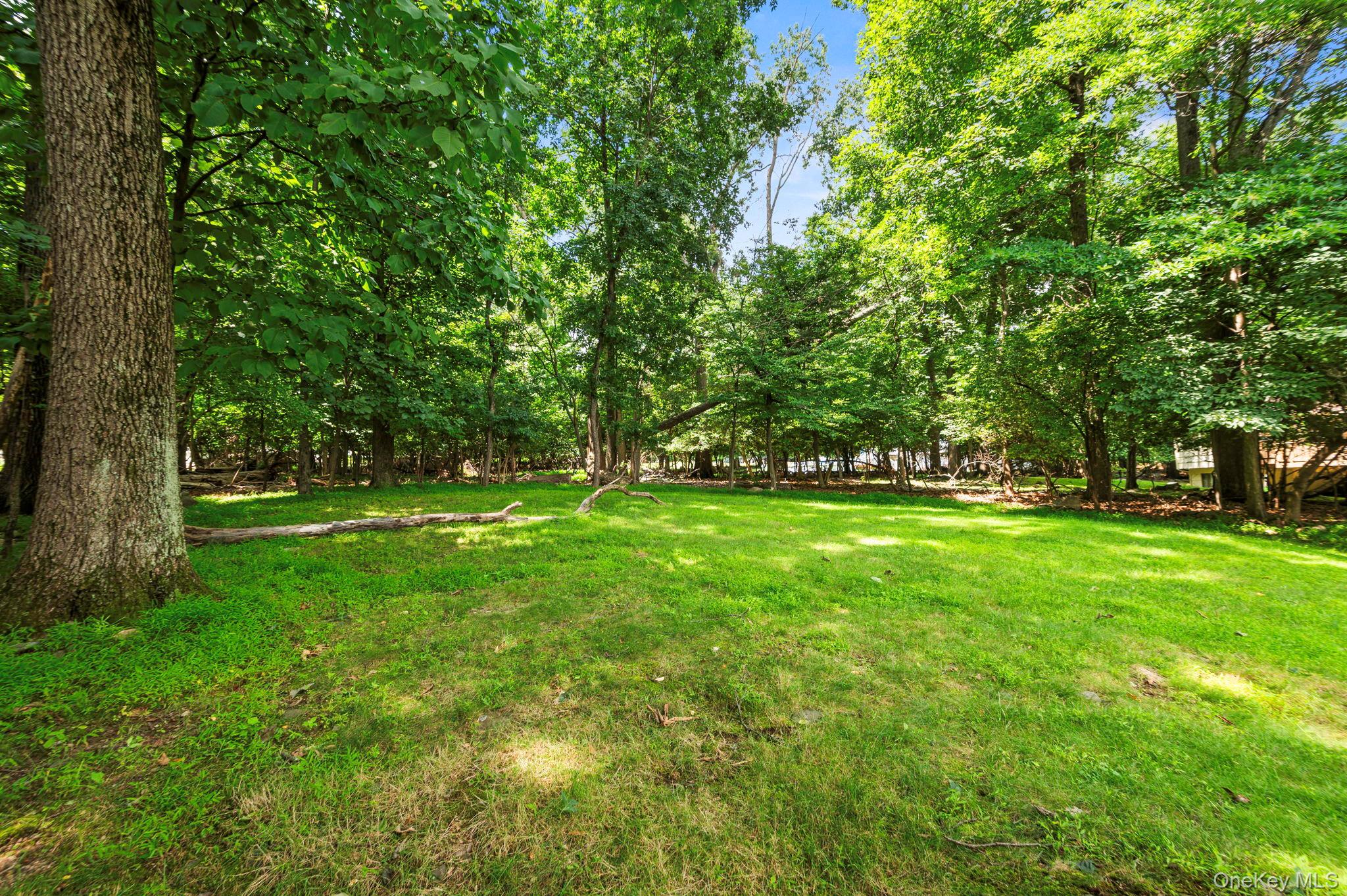 25 Ackerman Avenue – For Sale photo 34