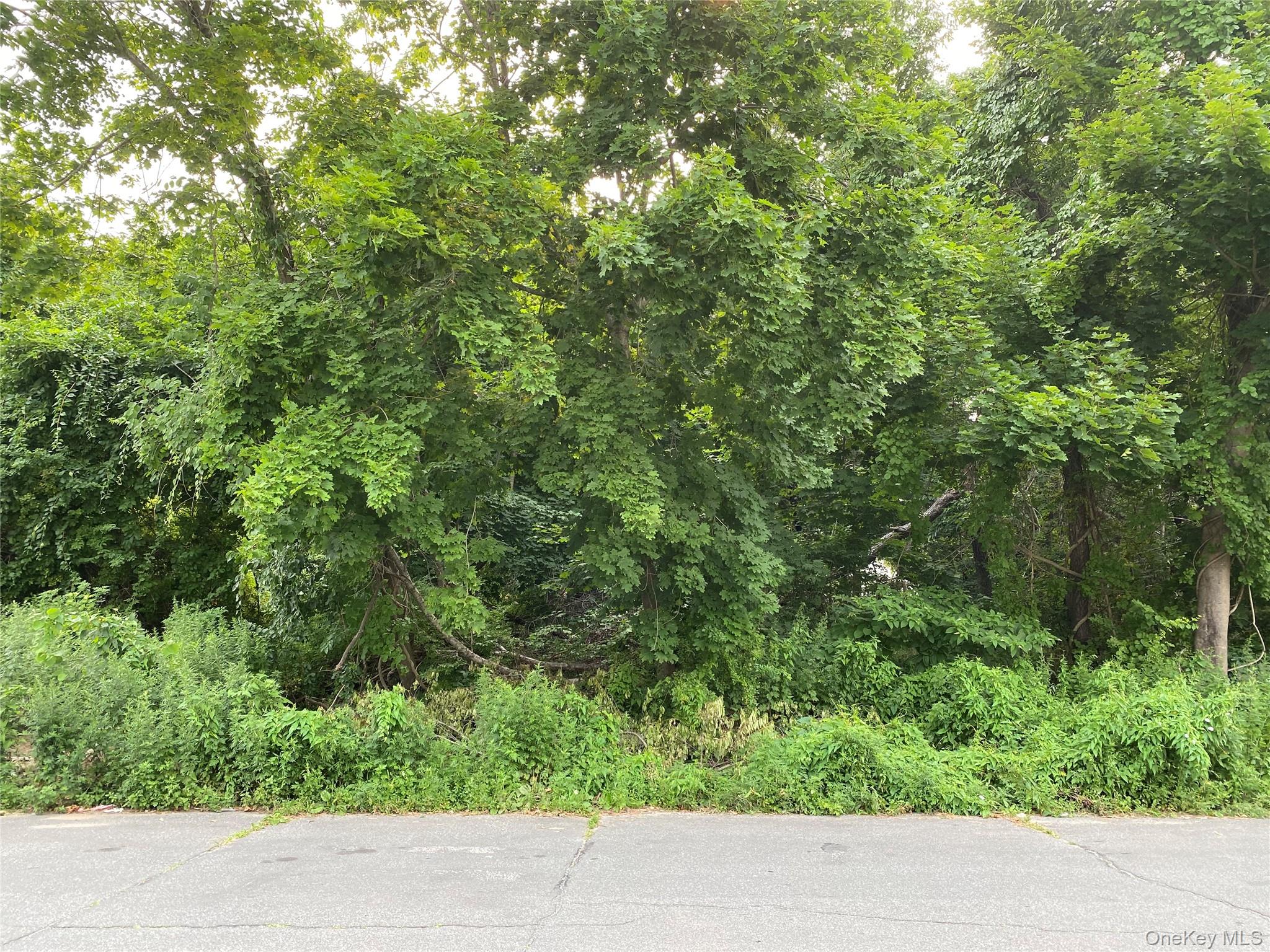 724 Macdonald Avenue – For Sale