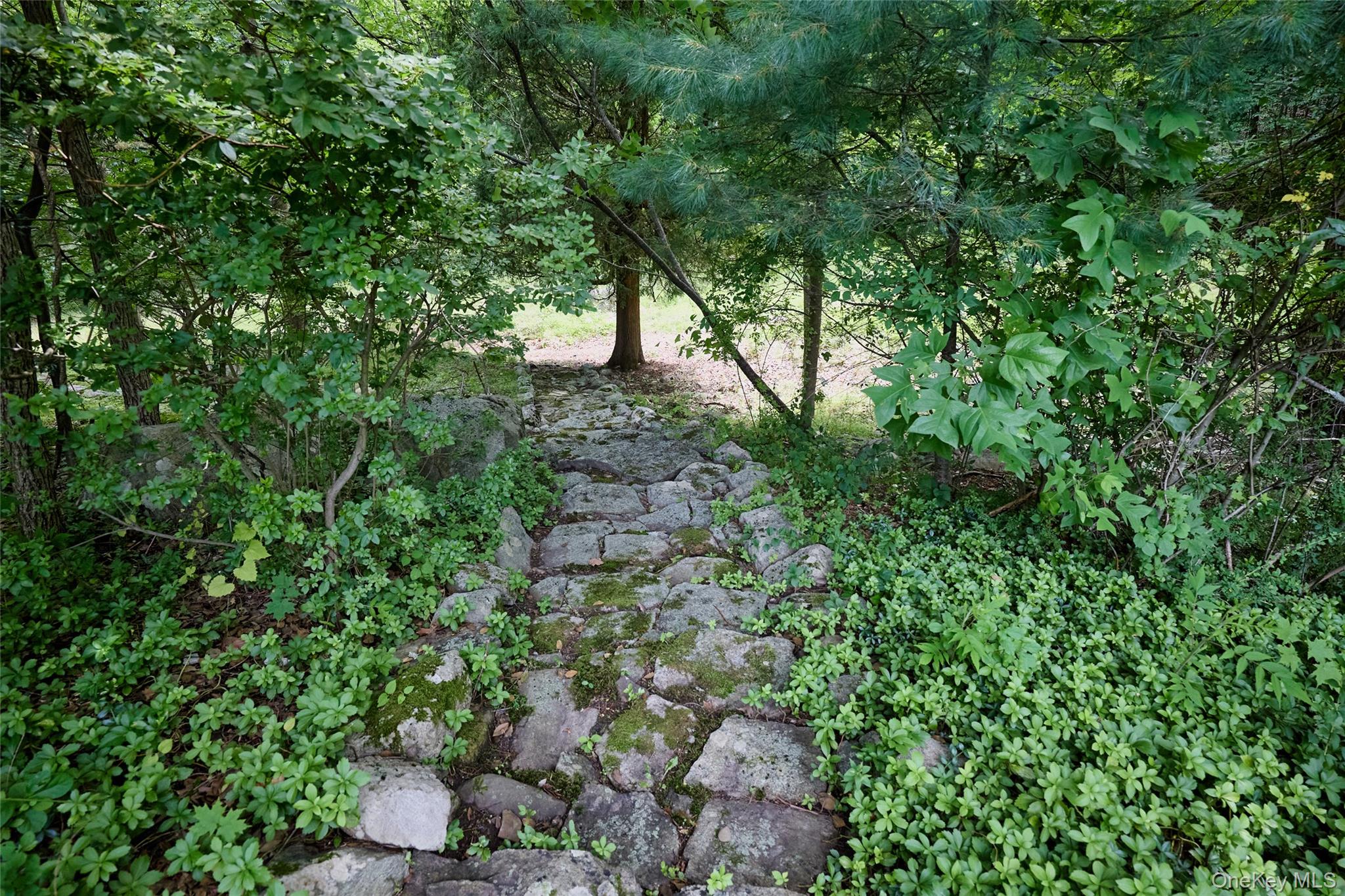 55 Mountain Farm Road – For Sale photo 45