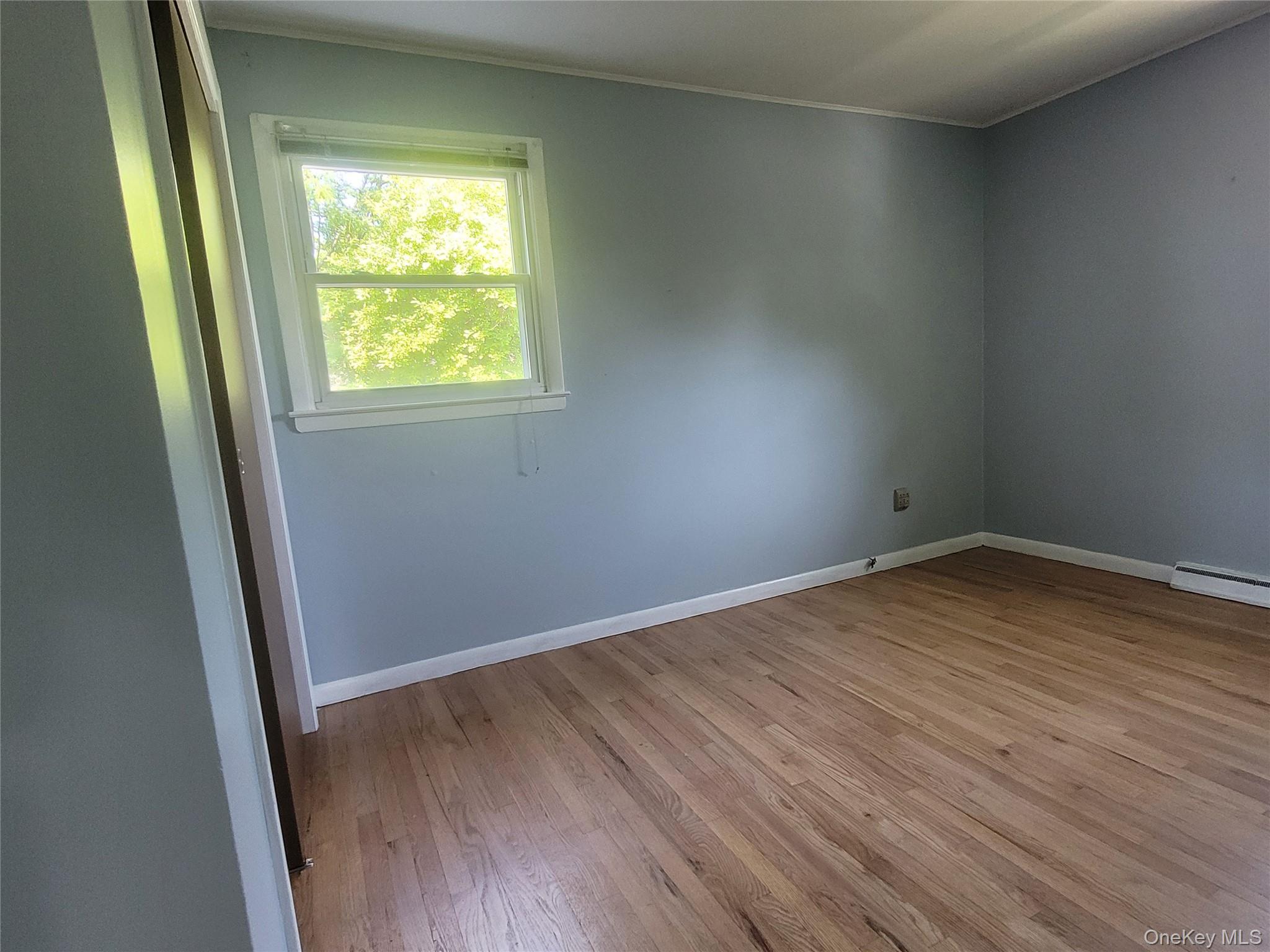 66 Phillips Street – For Rent photo 8