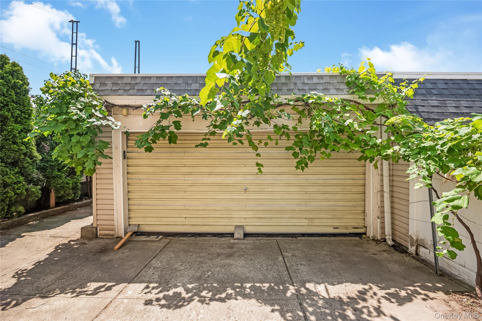 78-12 64th Street – For Sale photo 31