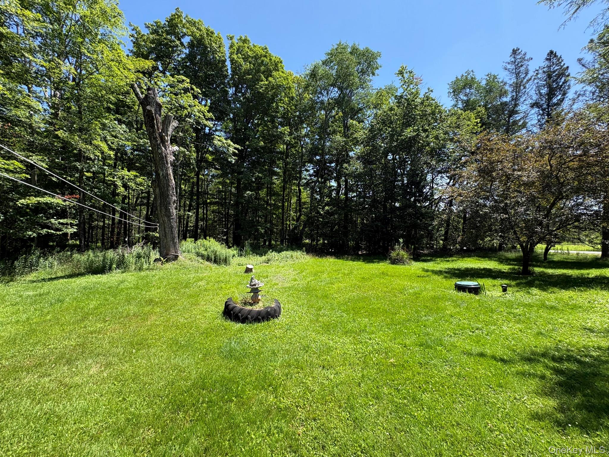 909 County Road 93 – For Sale photo 35