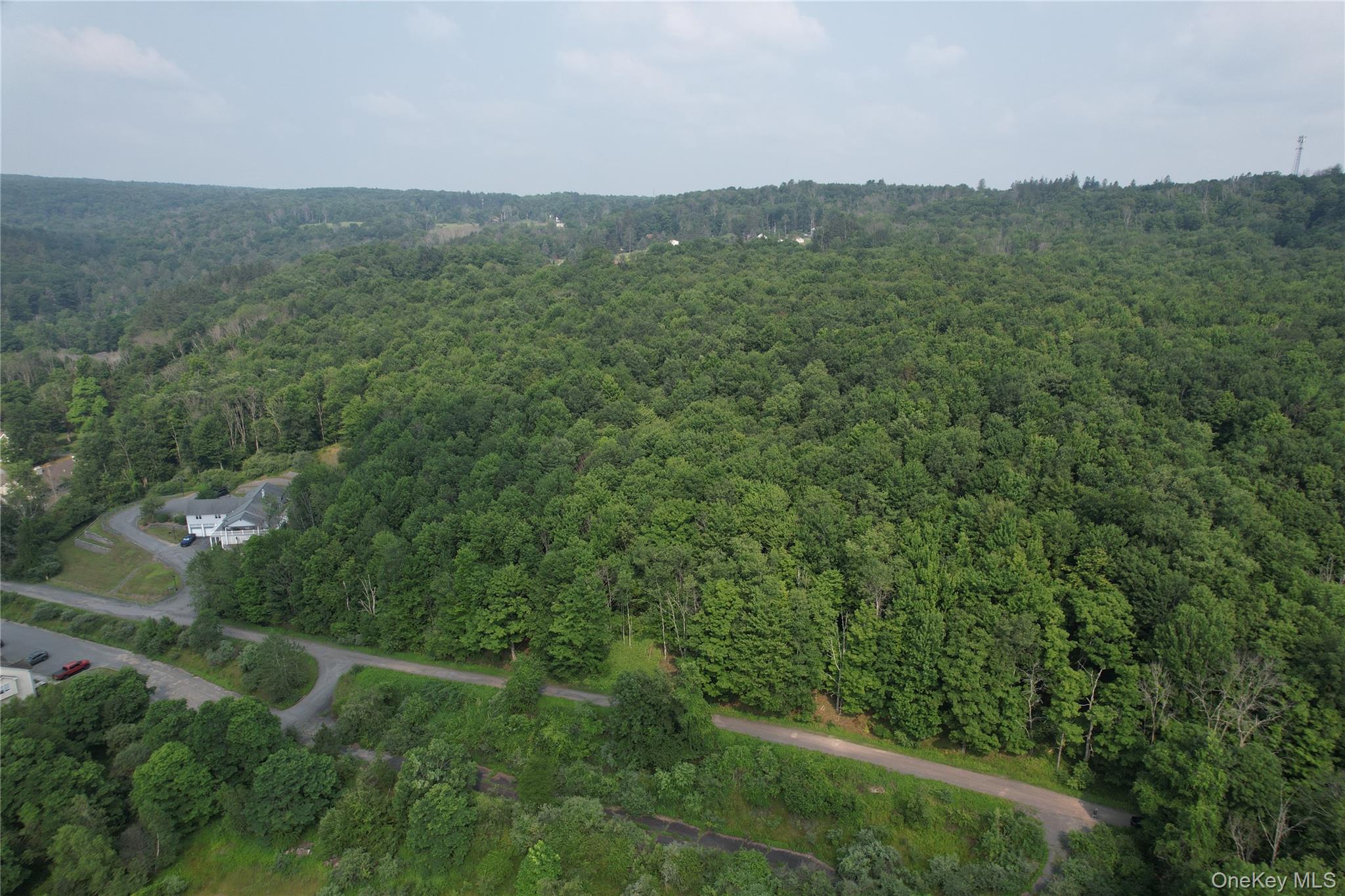 TBD Timberwolf Road W – For Sale photo 7