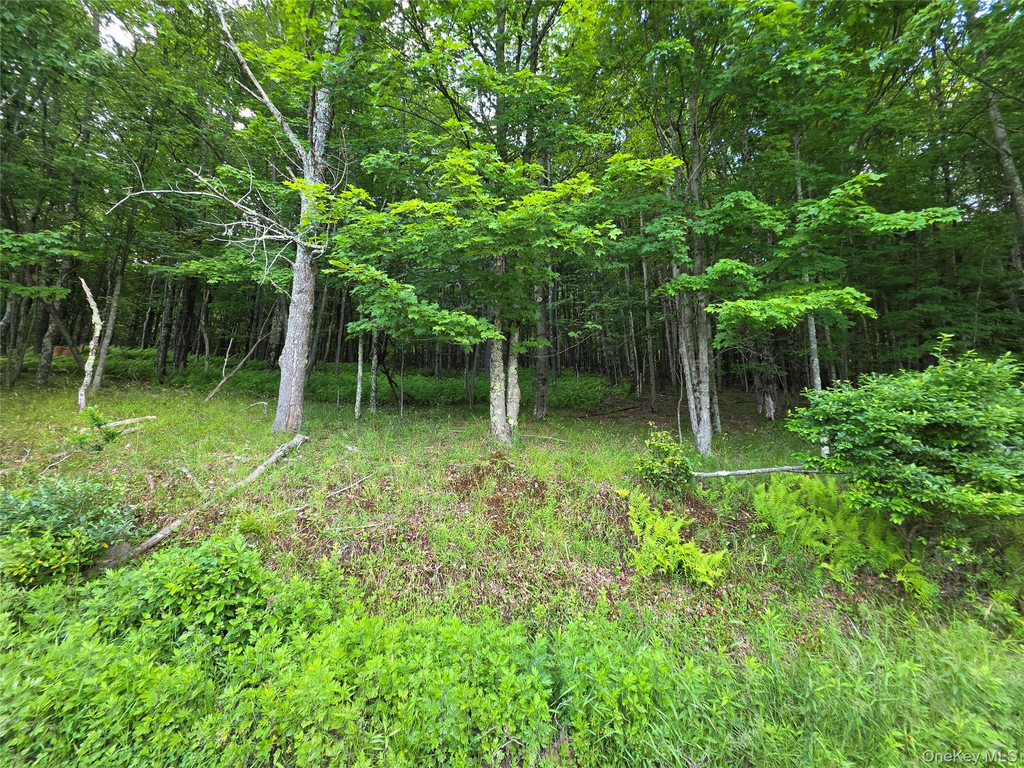 TBD Timberwolf Road W – For Sale photo 22