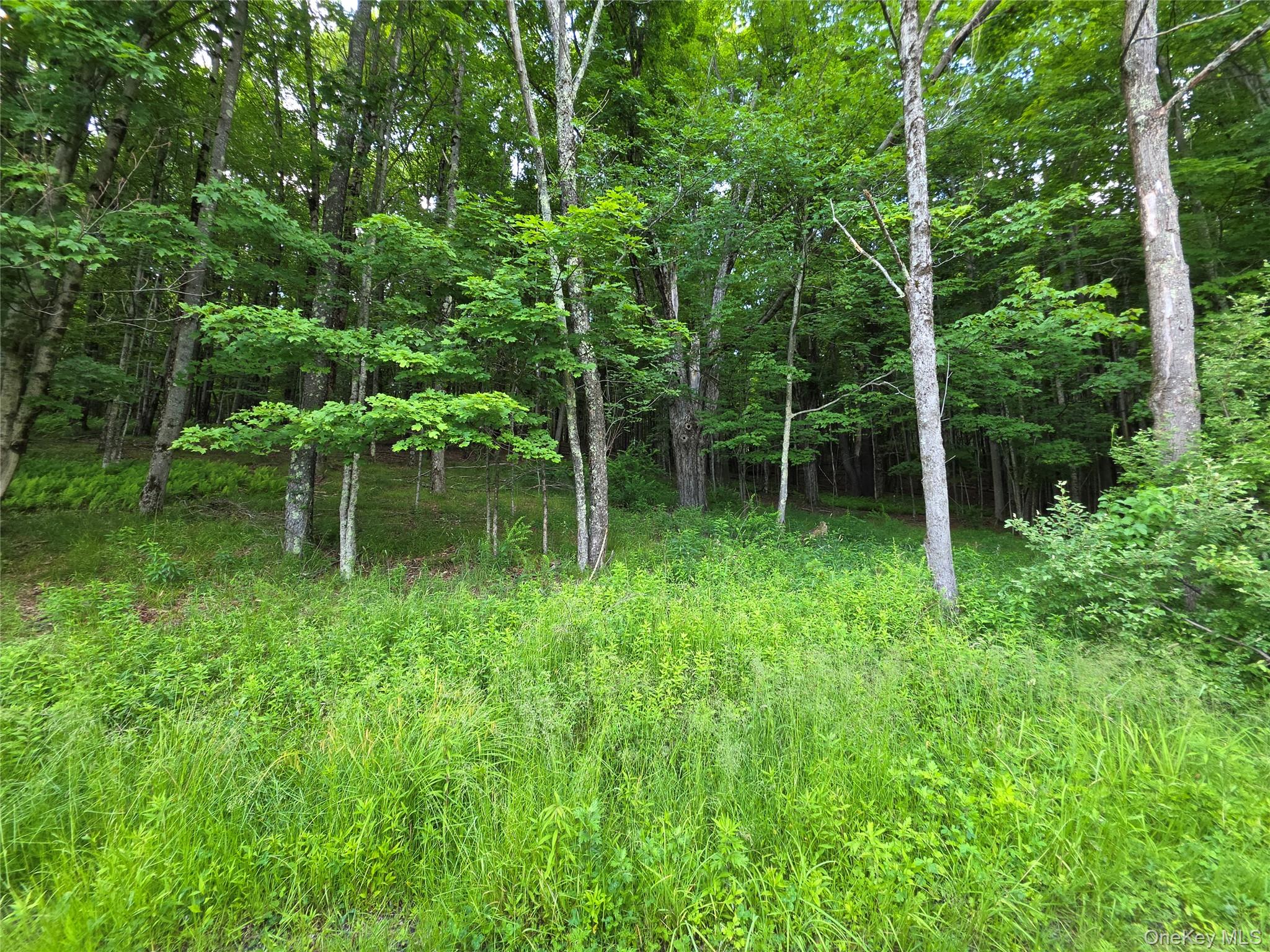 TBD Timberwolf Road W – For Sale photo 23