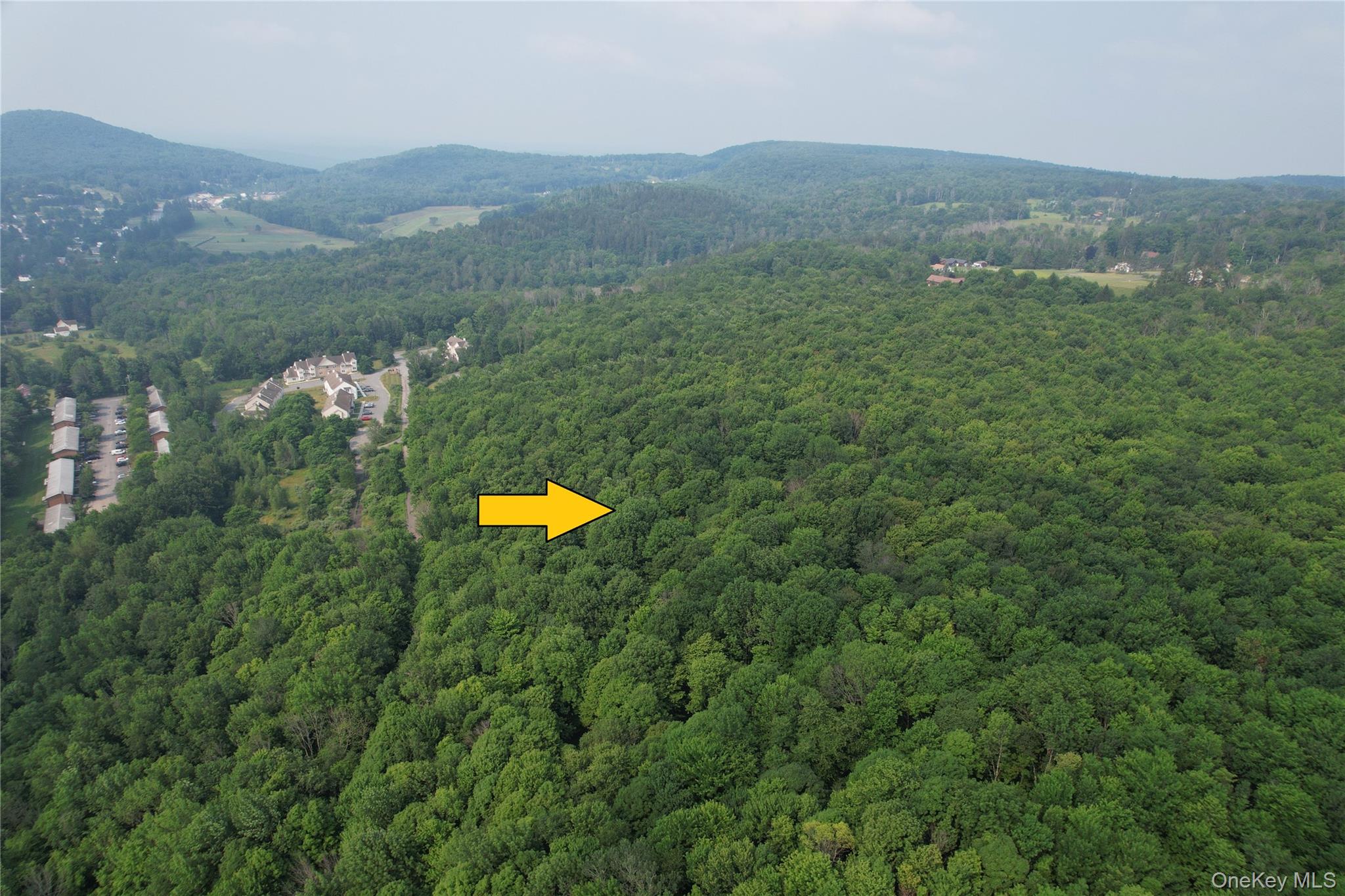 TBD Timberwolf Road W – For Sale photo 18