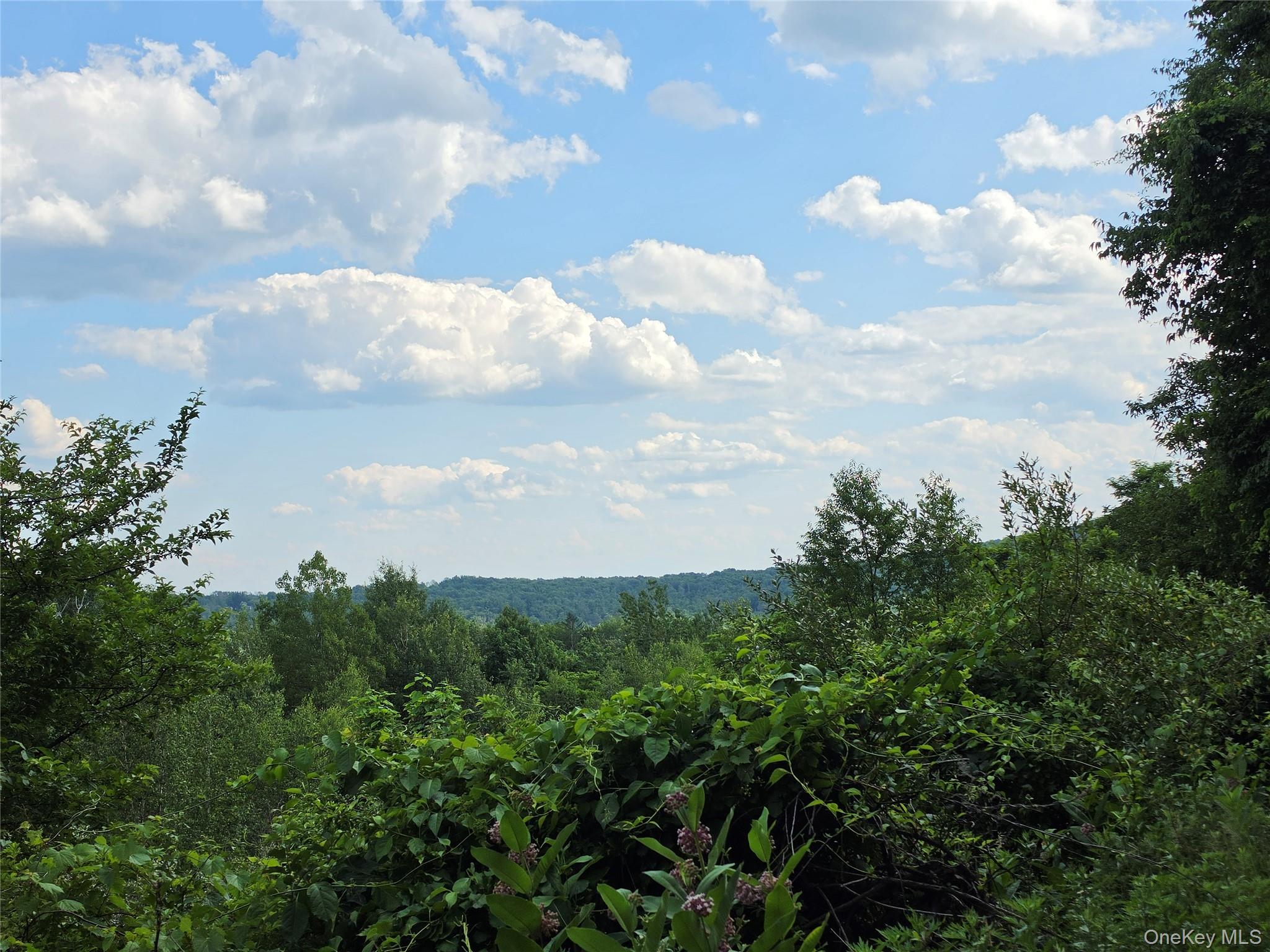 TBD Timberwolf Road W – For Sale photo 12