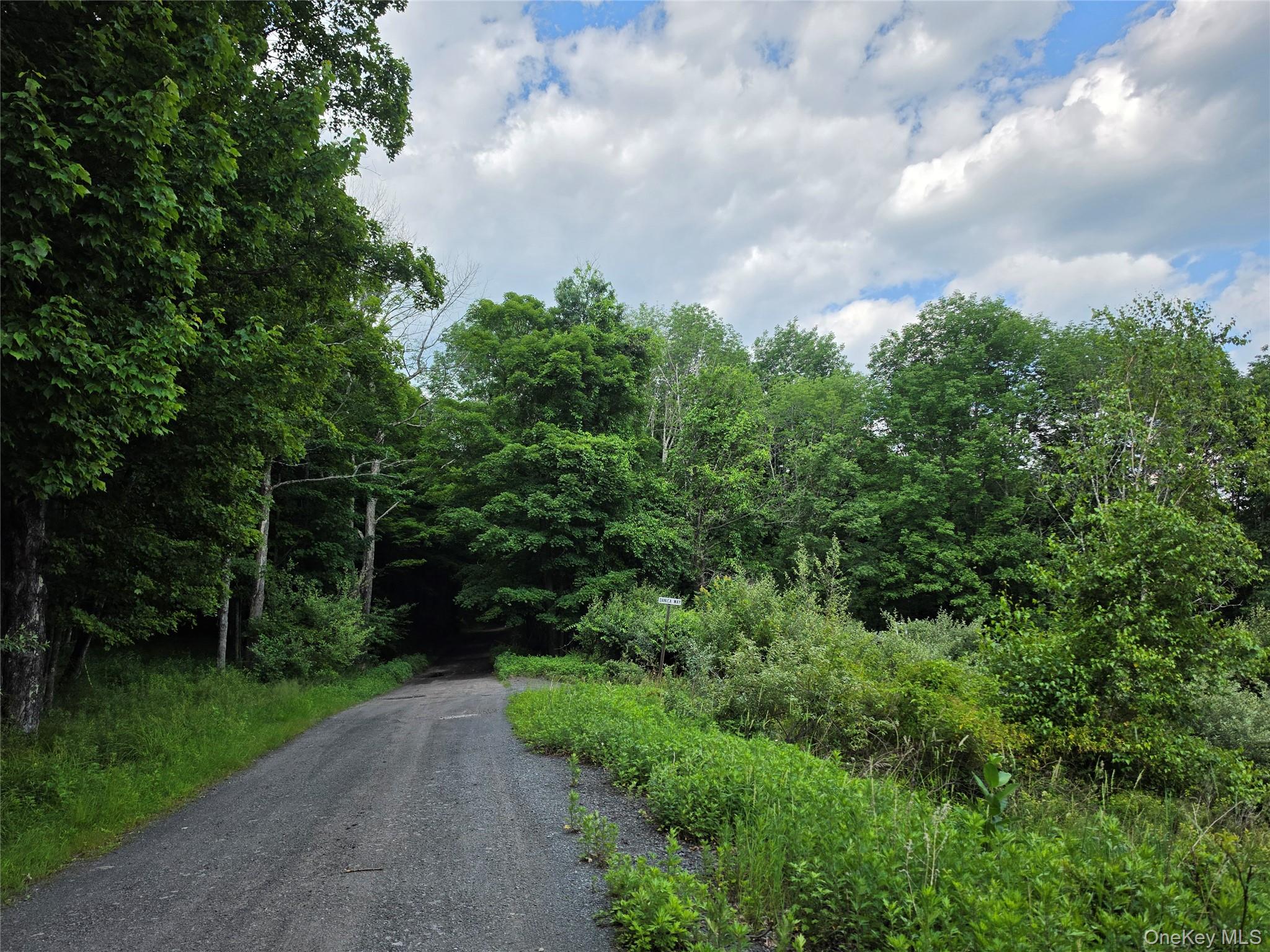 TBD Timberwolf Road W – For Sale photo 19