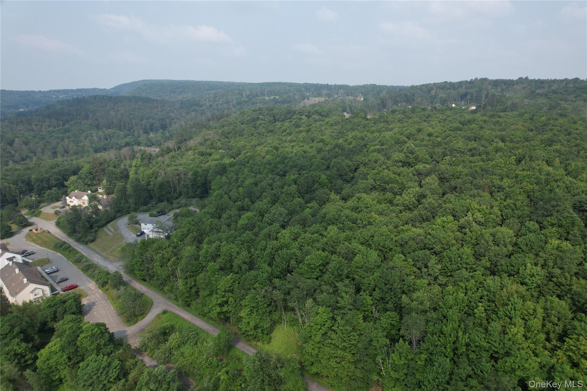 TBD Timberwolf Road W – For Sale photo 3