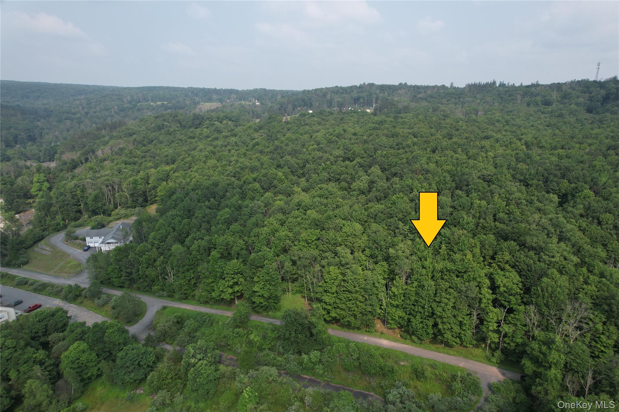 TBD Timberwolf Road W – For Sale photo 8