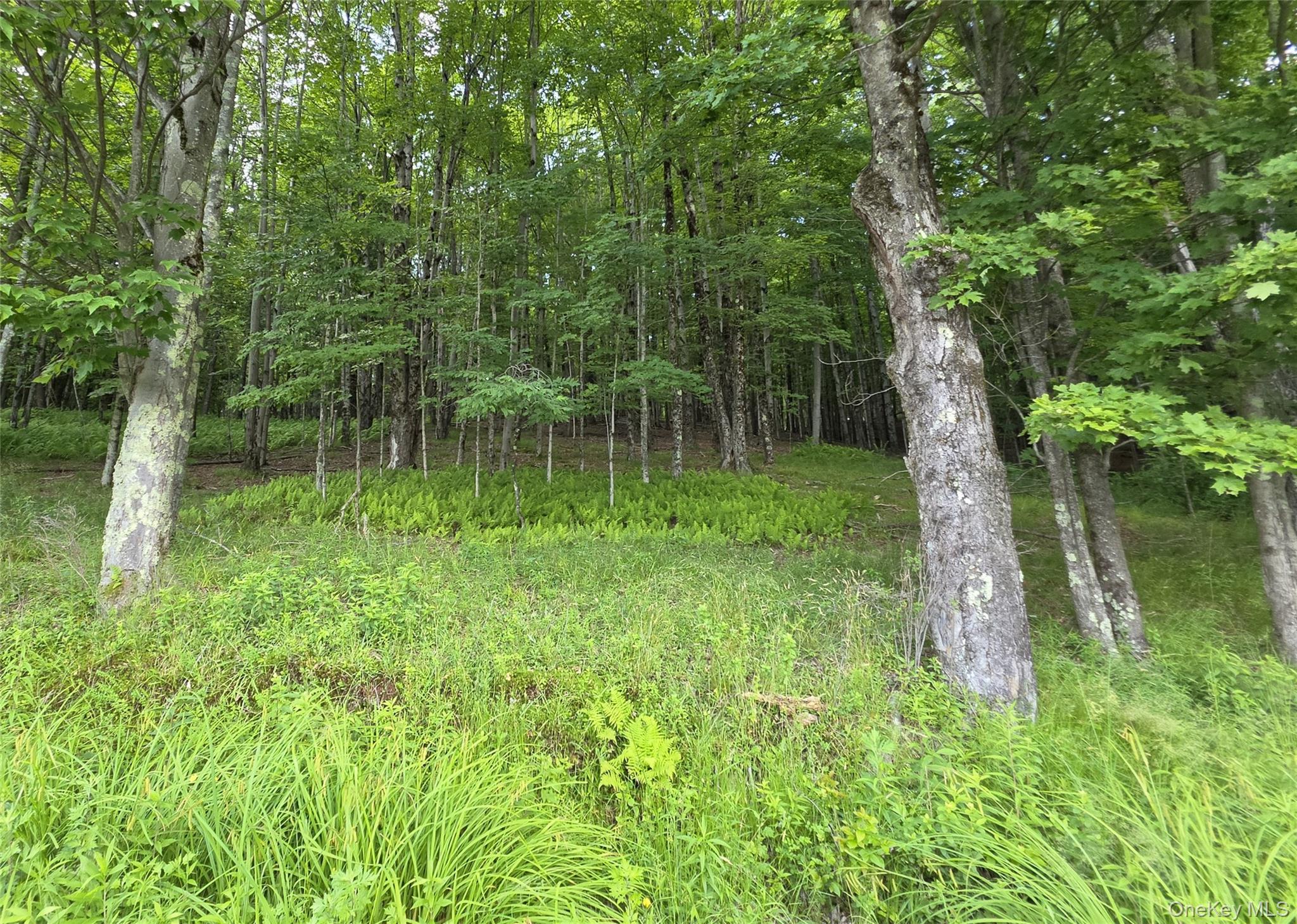TBD Timberwolf Road W – For Sale photo 21