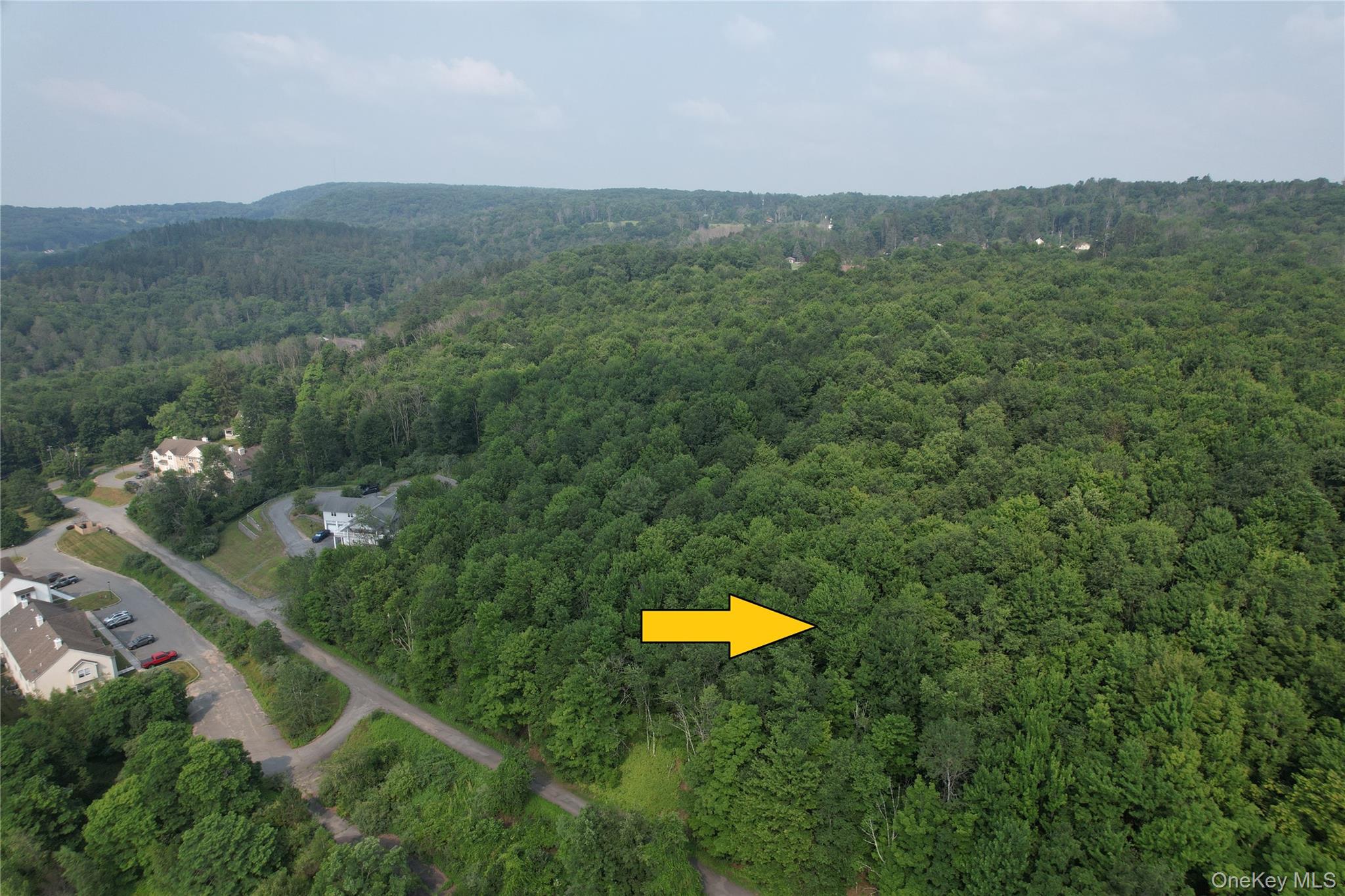 TBD Timberwolf Road W – For Sale photo 4
