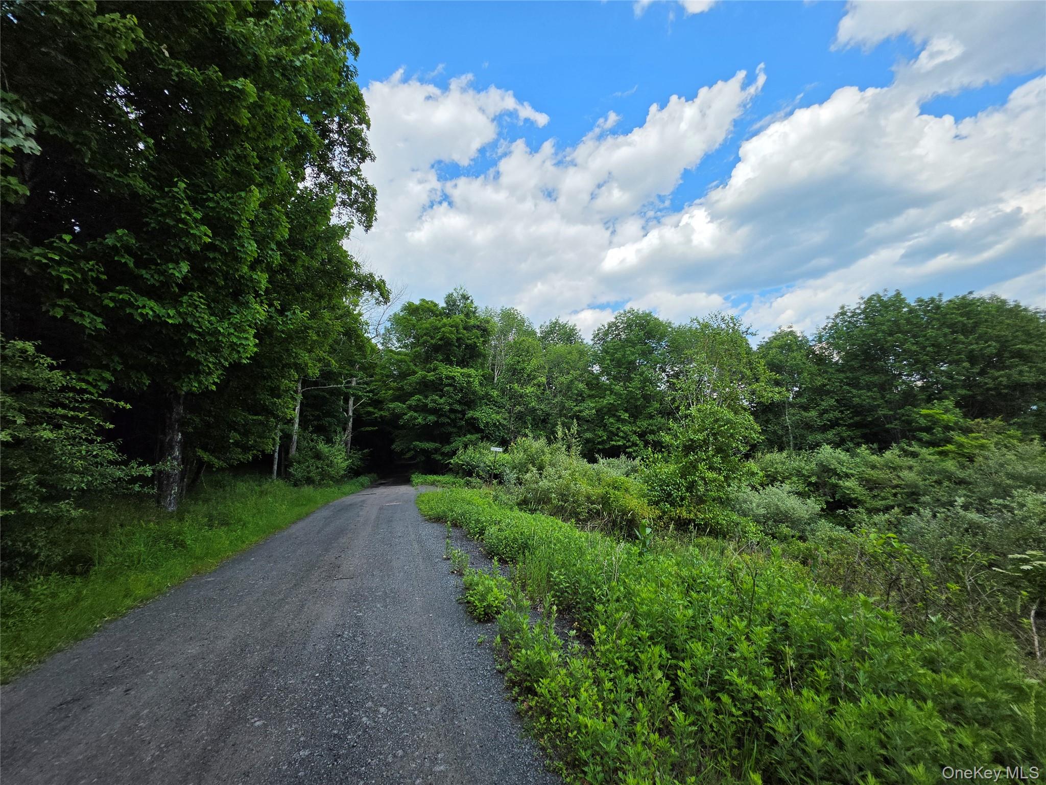 TBD Timberwolf Road W – For Sale photo 6