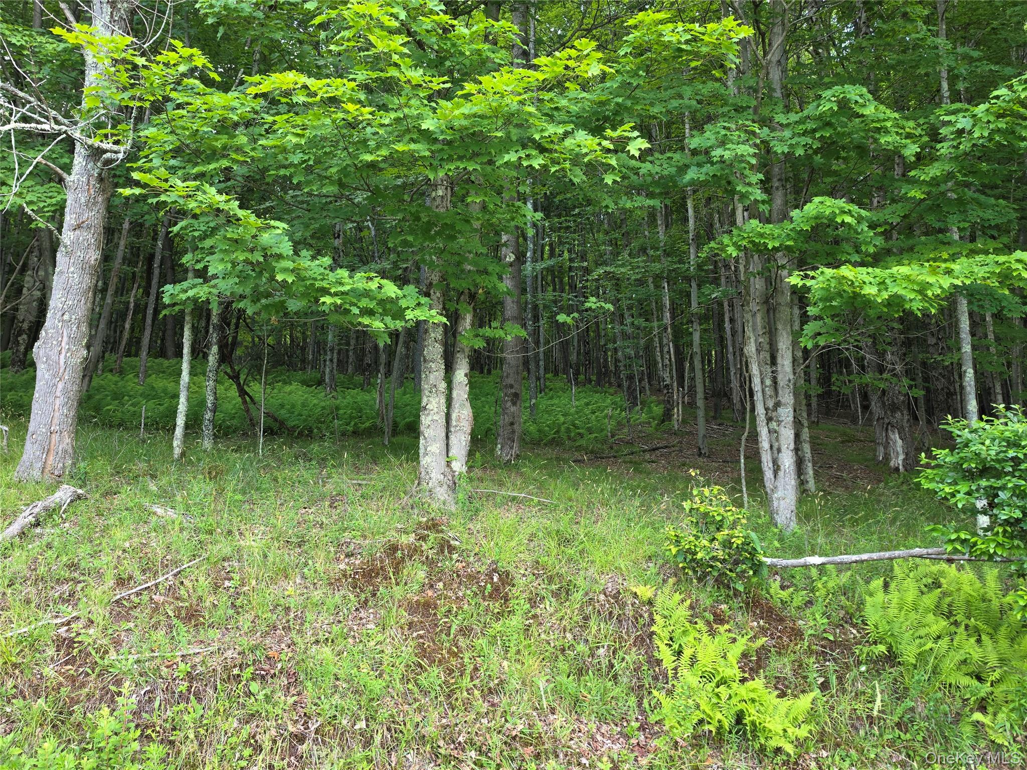 TBD Timberwolf Road W – For Sale photo 16