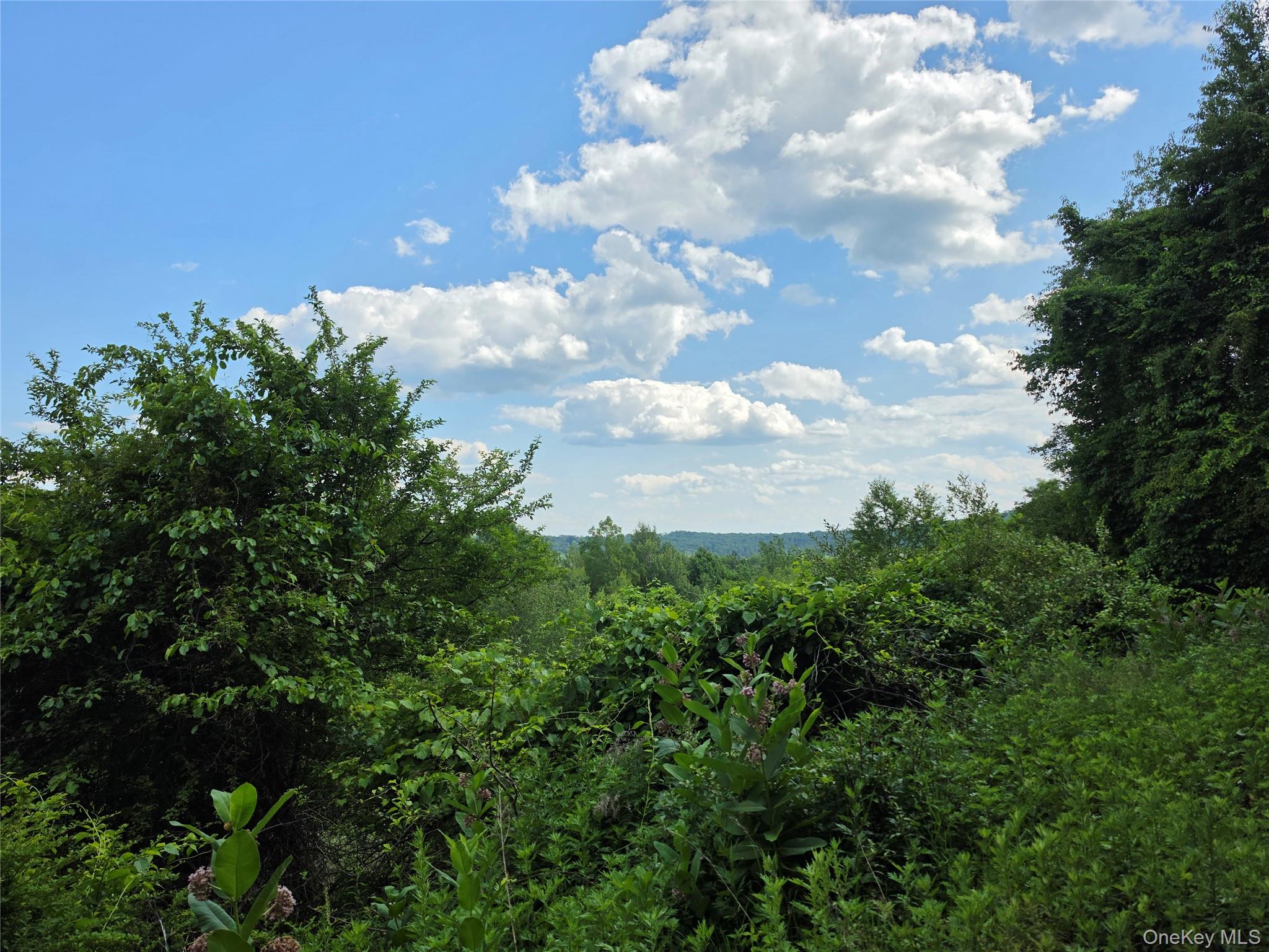 TBD Timberwolf Road W – For Sale photo 20