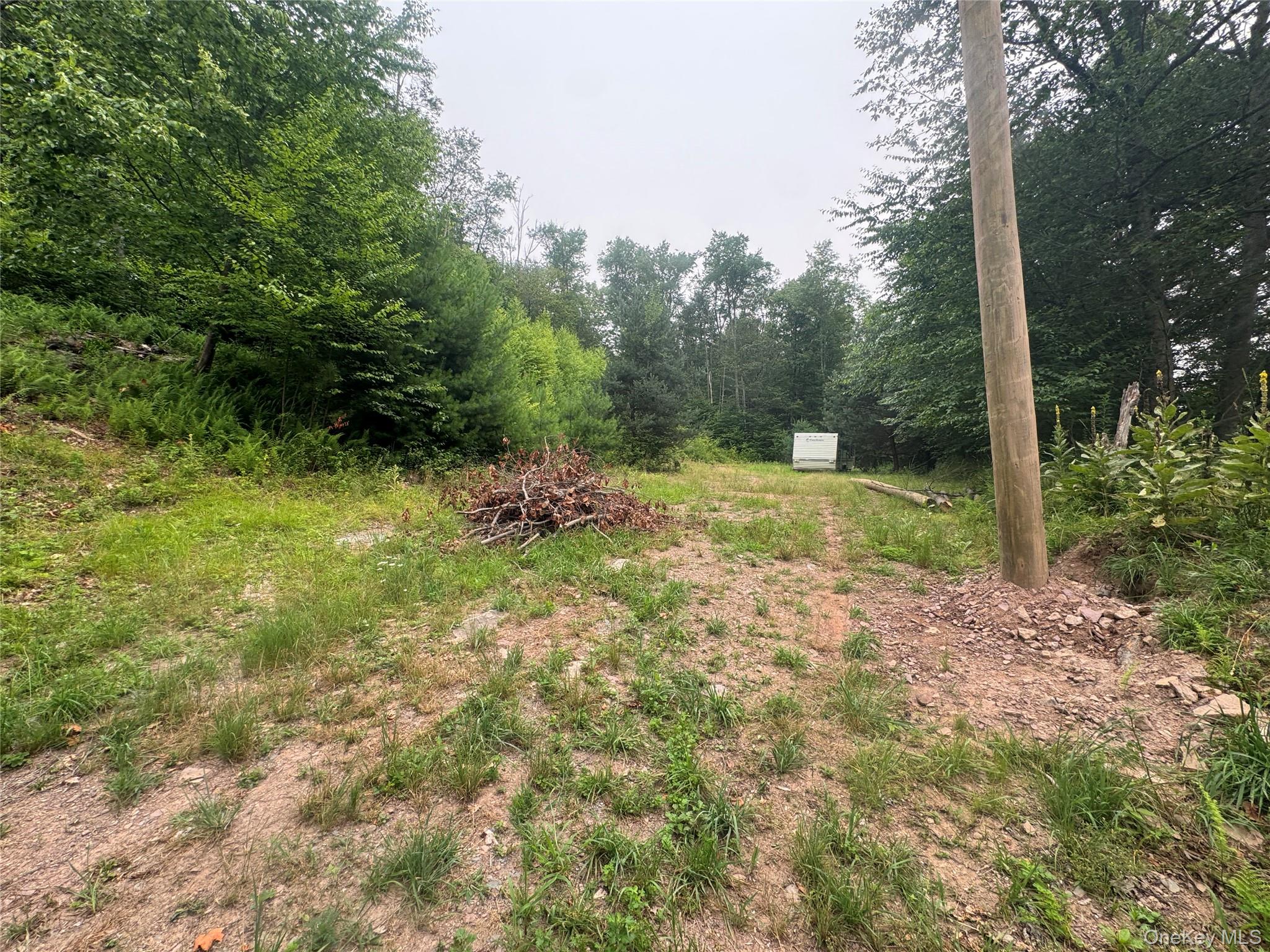 Rapp Road – For Sale photo 2
