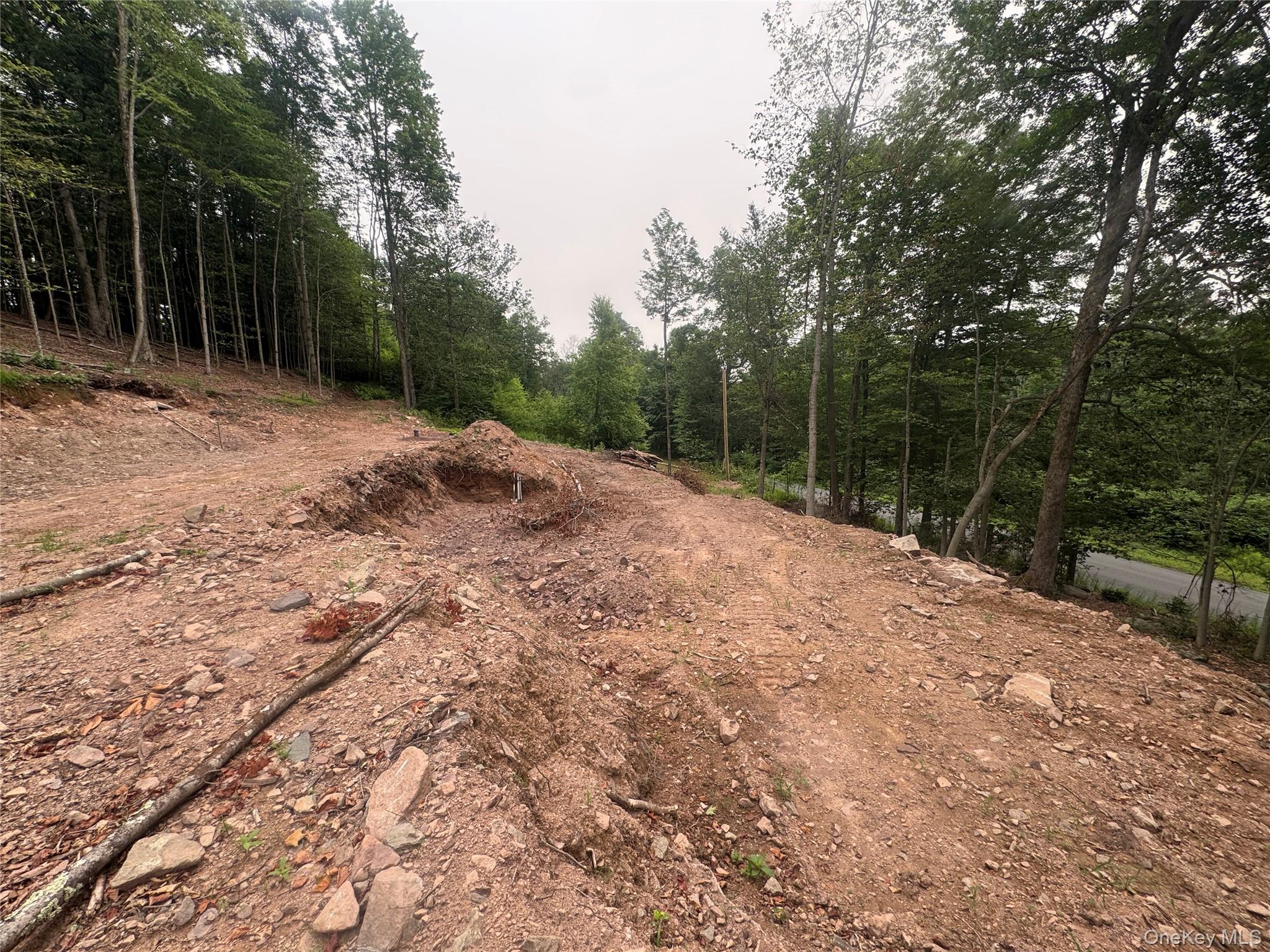 Rapp Road – For Sale photo 10