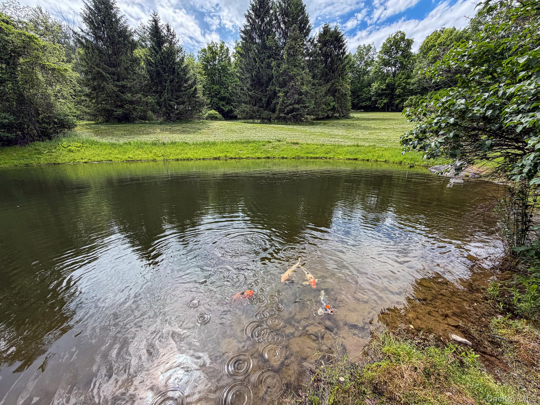 221 Camp Medusa Road – For Sale photo 15