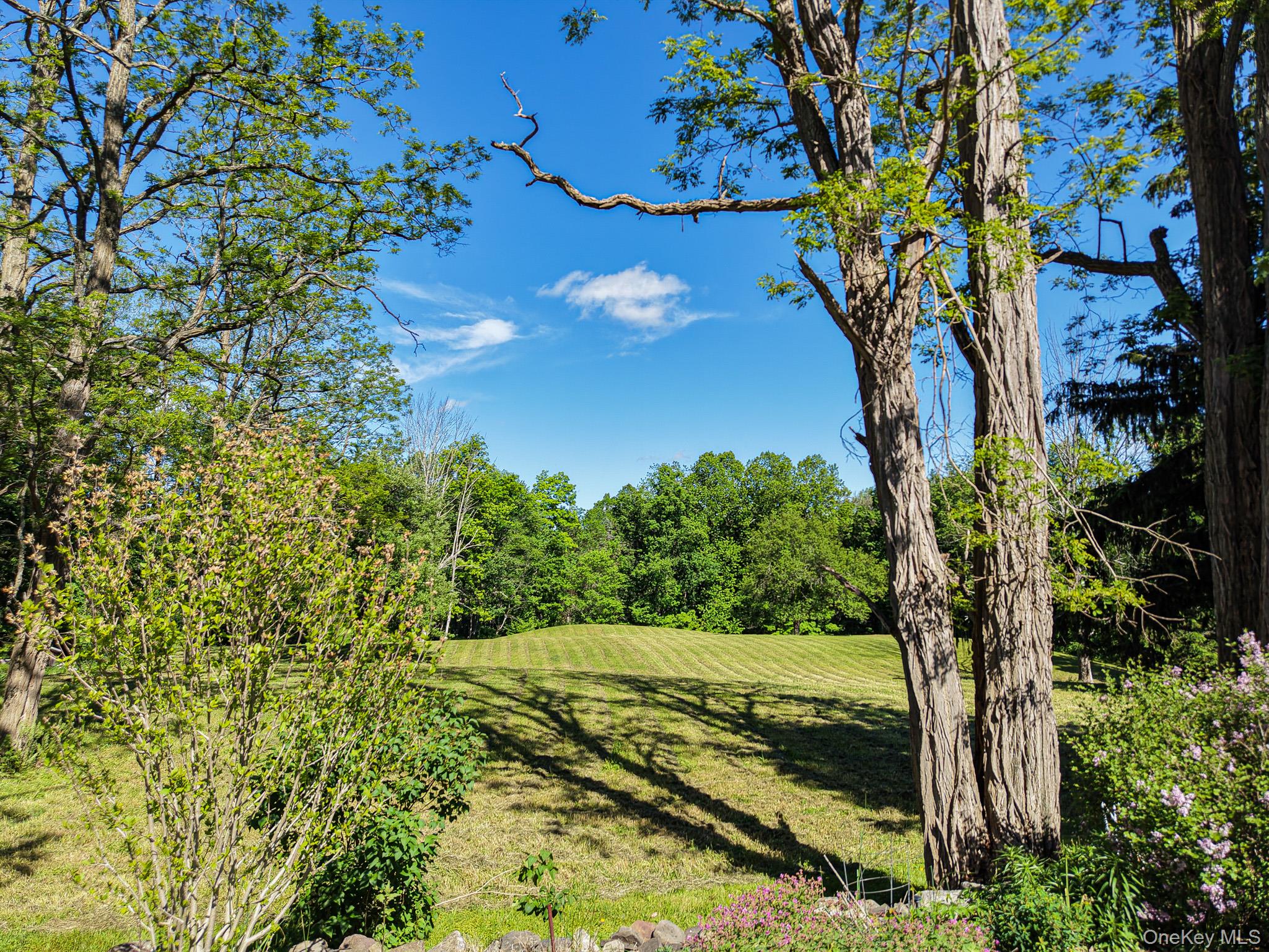 221 Camp Medusa Road – For Sale photo 17