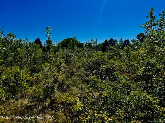 001 N Vernon Street – For Sale photo 3