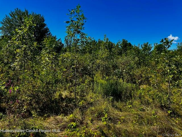 001 N Vernon Street – For Sale photo 4