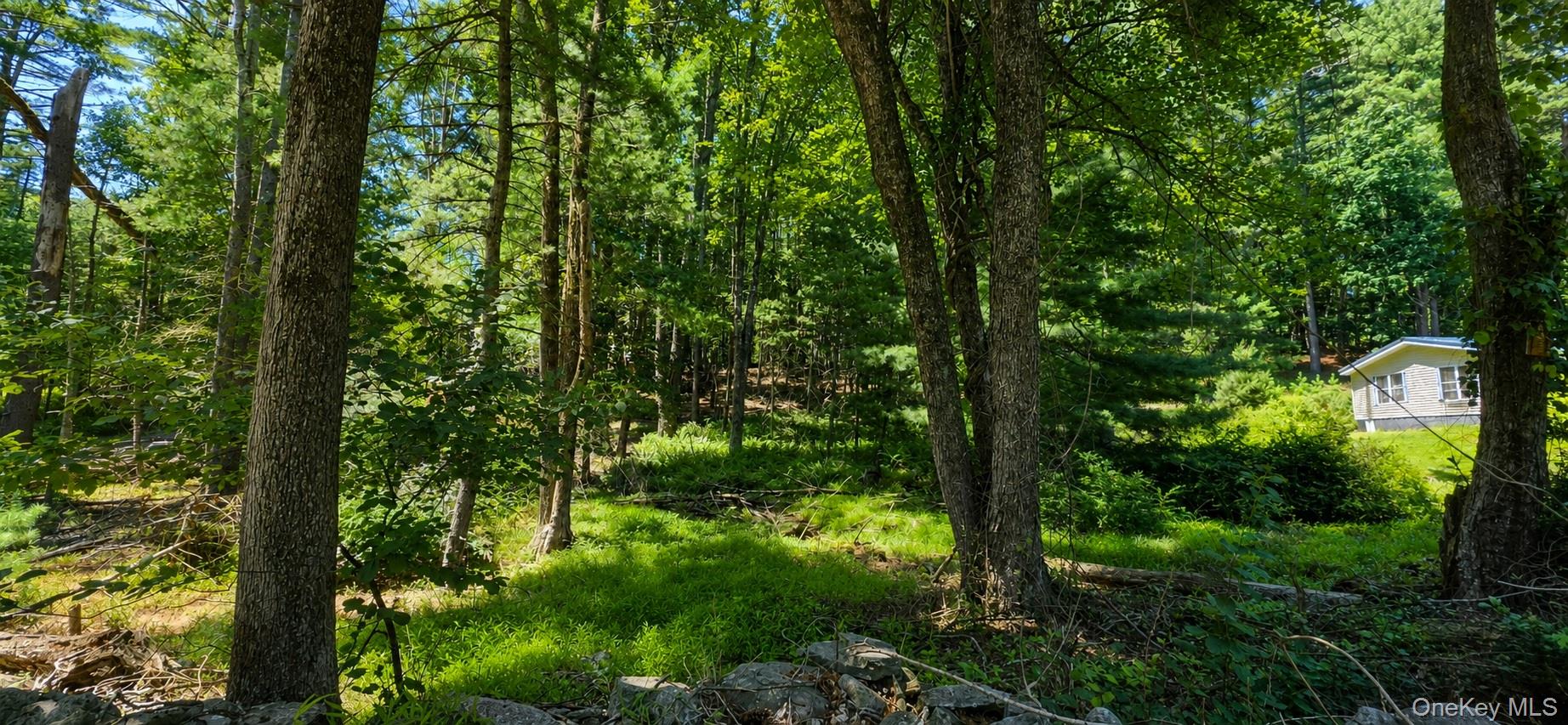 Lot # 7 Irishtown Road – For Sale photo 3