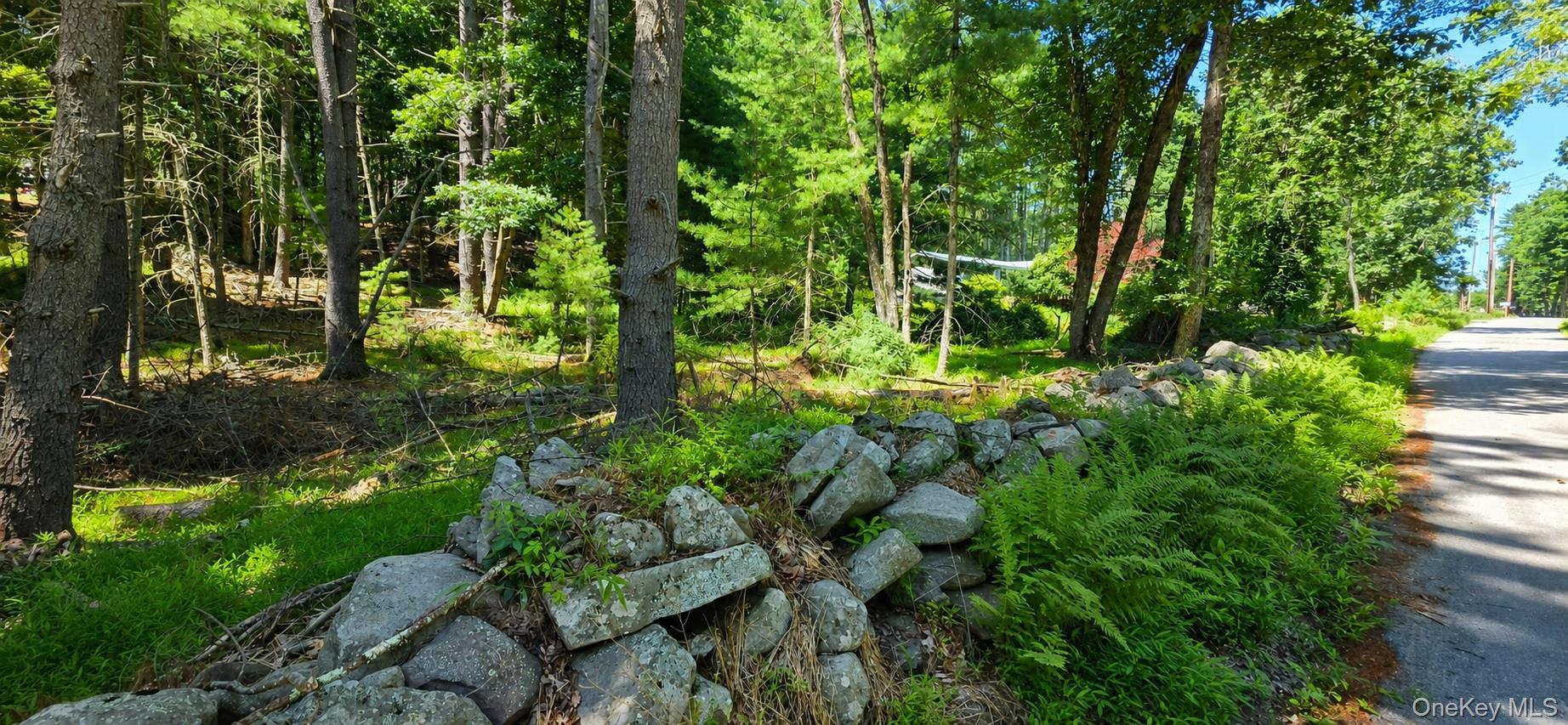 Lot # 7 Irishtown Road – For Sale photo 2