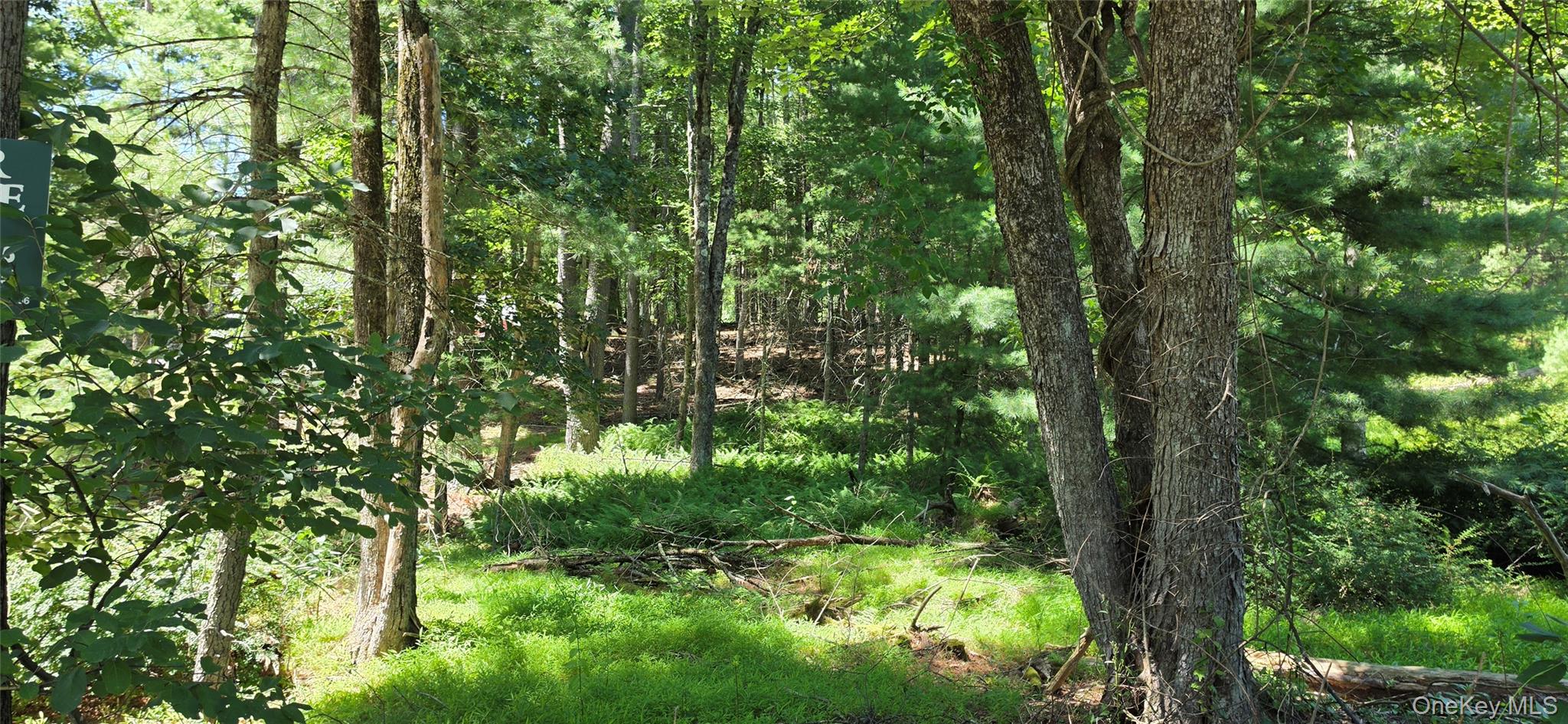Lot # 7 Irishtown Road – For Sale photo 5