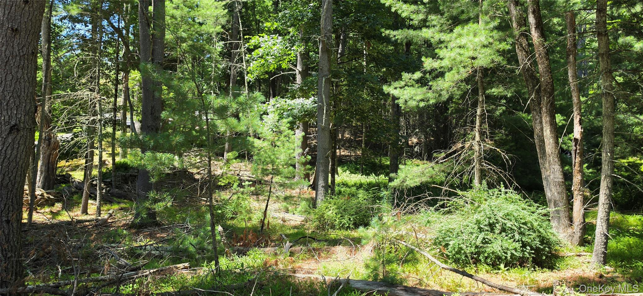 Lot # 7 Irishtown Road – For Sale