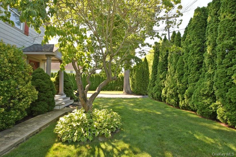 478 Marcy Avenue – For Sale photo 46