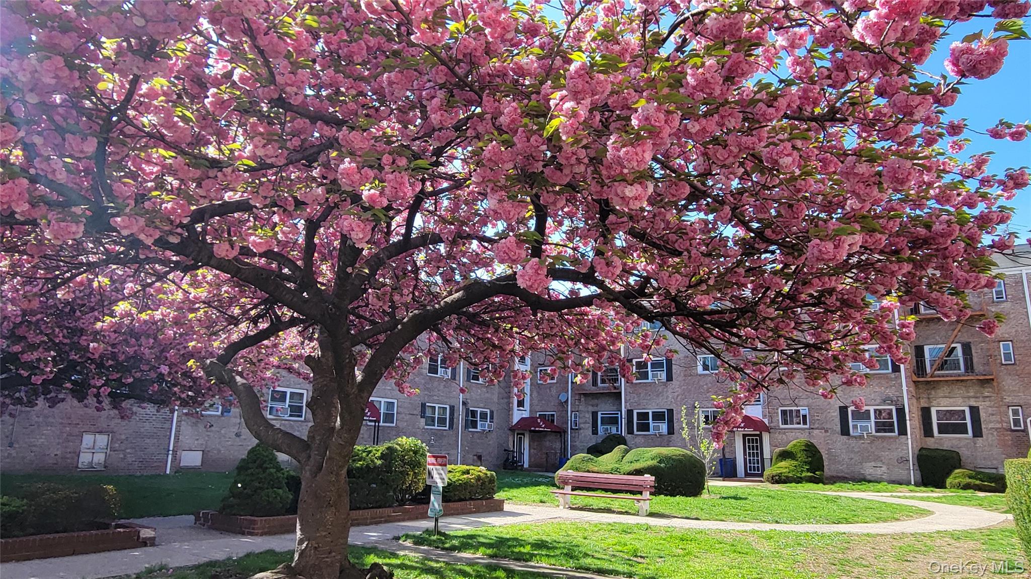 65-30 Grand Central Parkway, Unit 1A photo 22