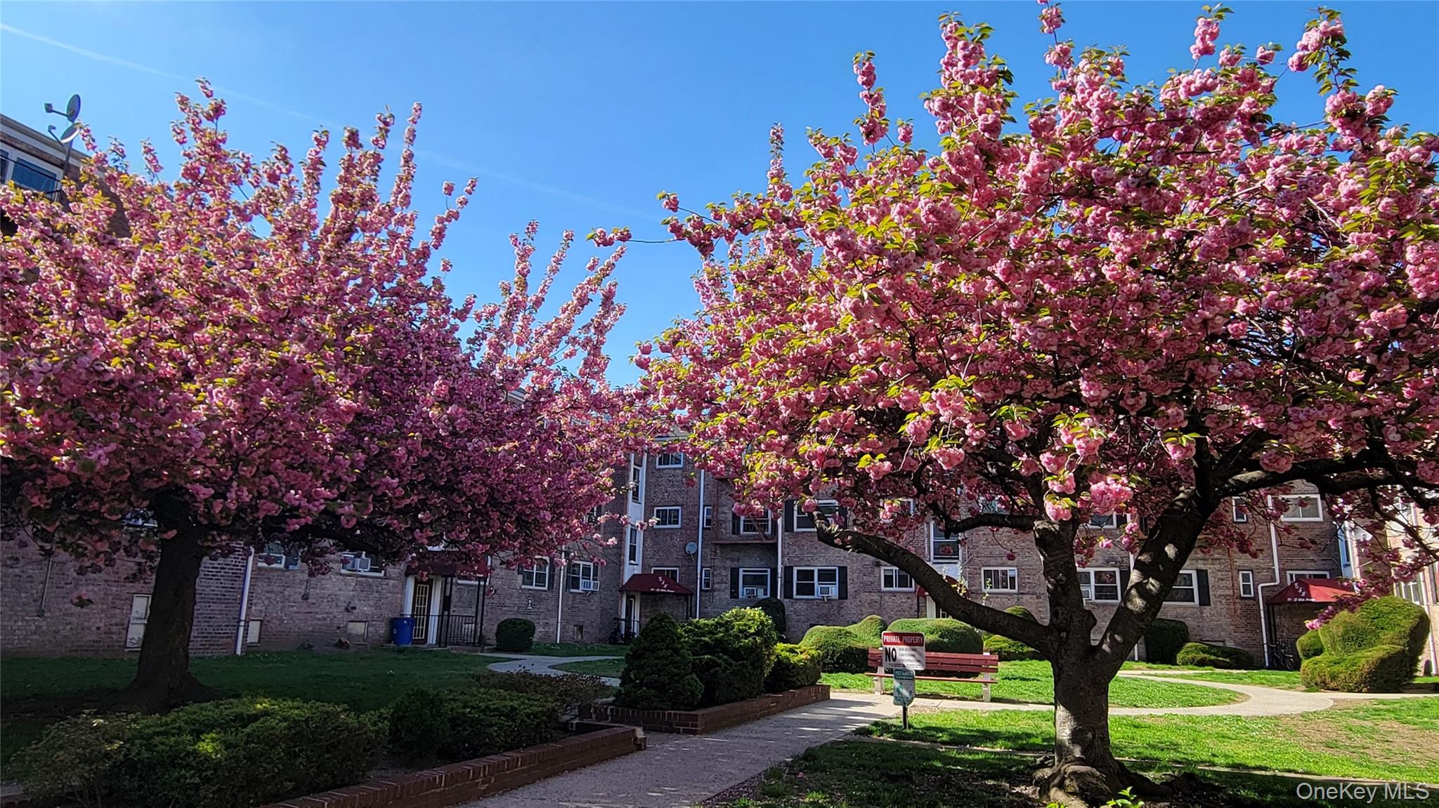 65-30 Grand Central Parkway, Unit 1A