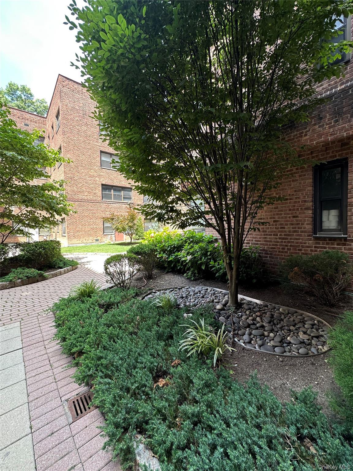 101 Ellwood Avenue, Unit 1E photo 13
