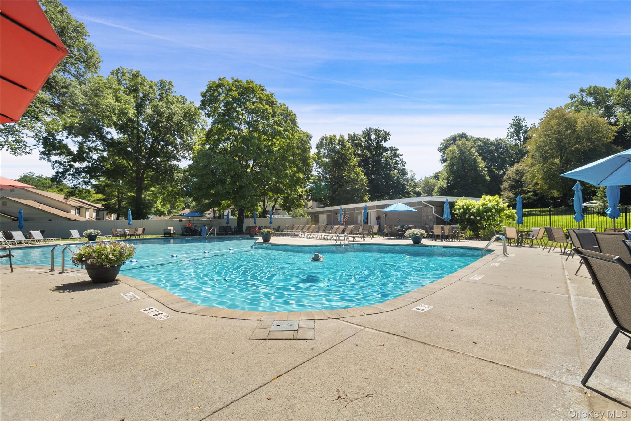 39 Sussex Drive, Unit B photo 38