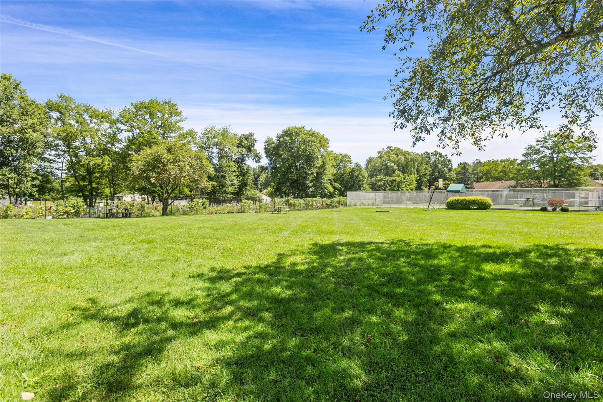 39 Sussex Drive, Unit B photo 35