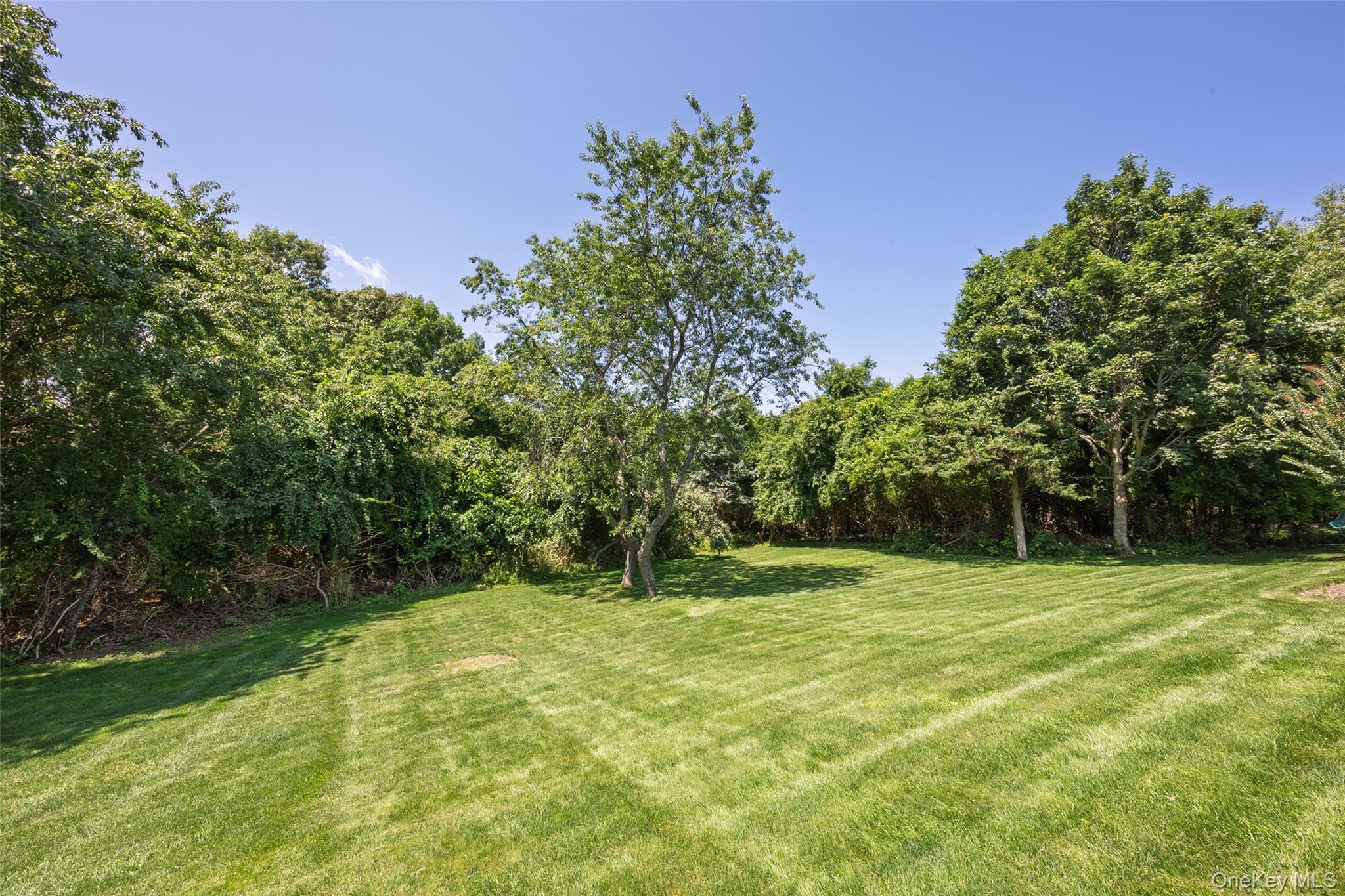 1492 Skunk Lane – For Sale photo 48