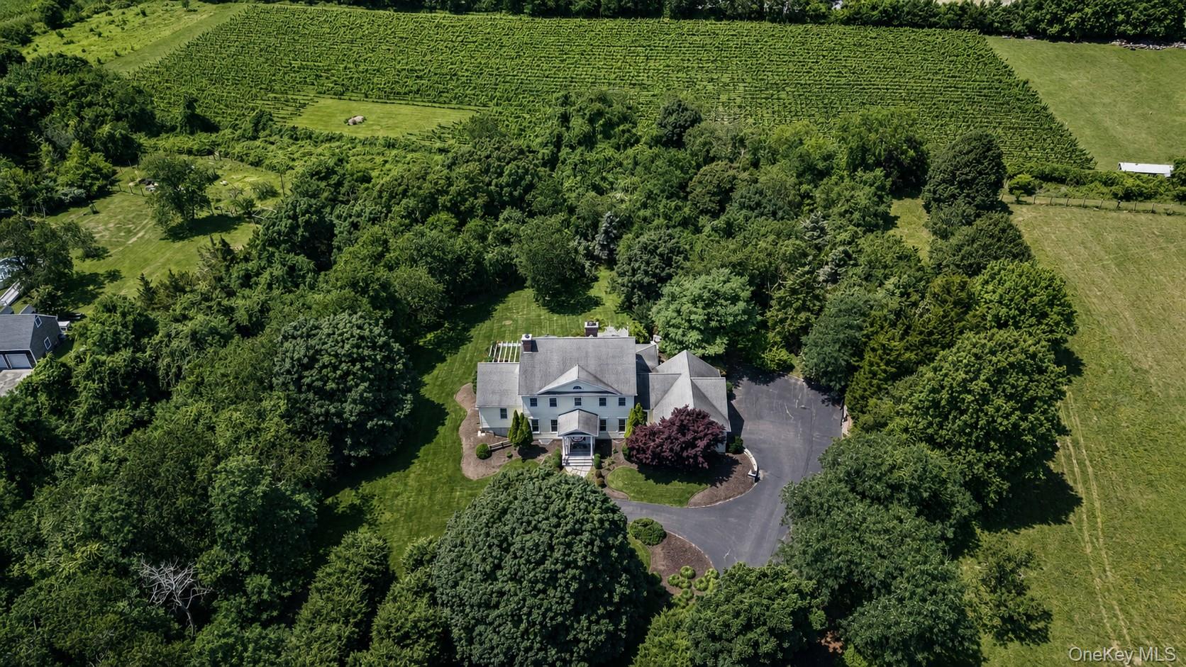 1492 Skunk Lane – For Sale