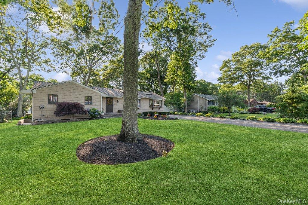 61 Timber Drive – For Sale photo 27
