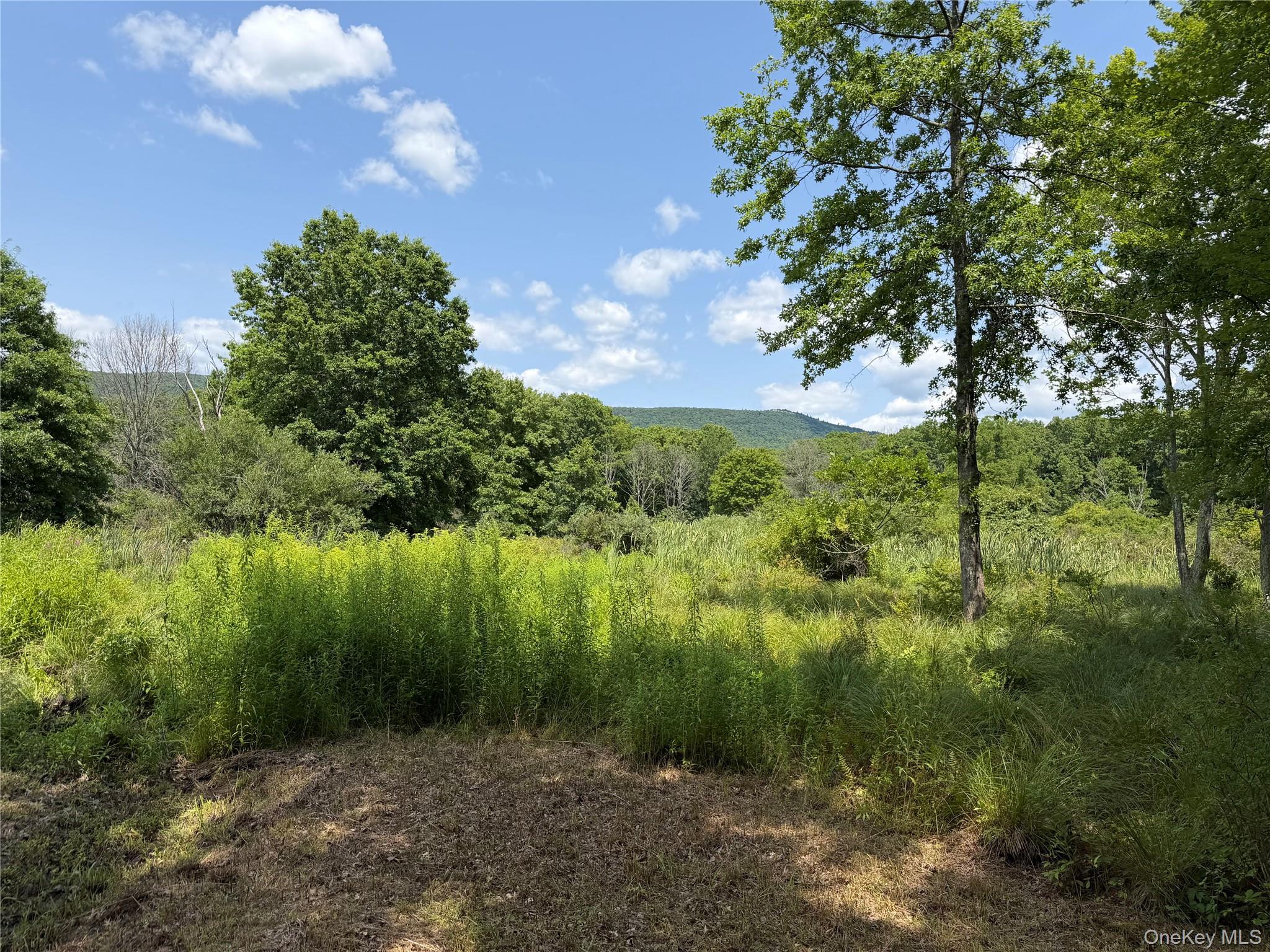 468 Decker Road – For Sale photo 36