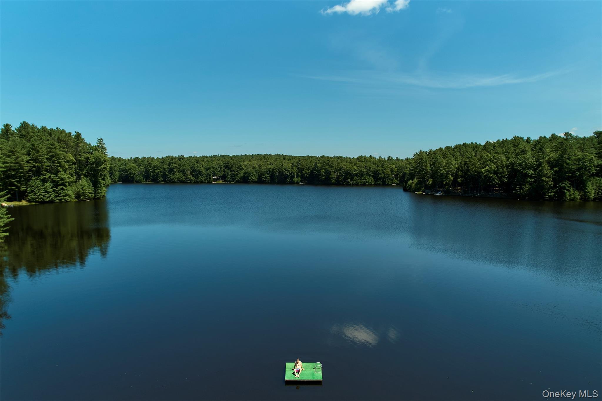 167 Timber Lake Drive – For Sale photo 4