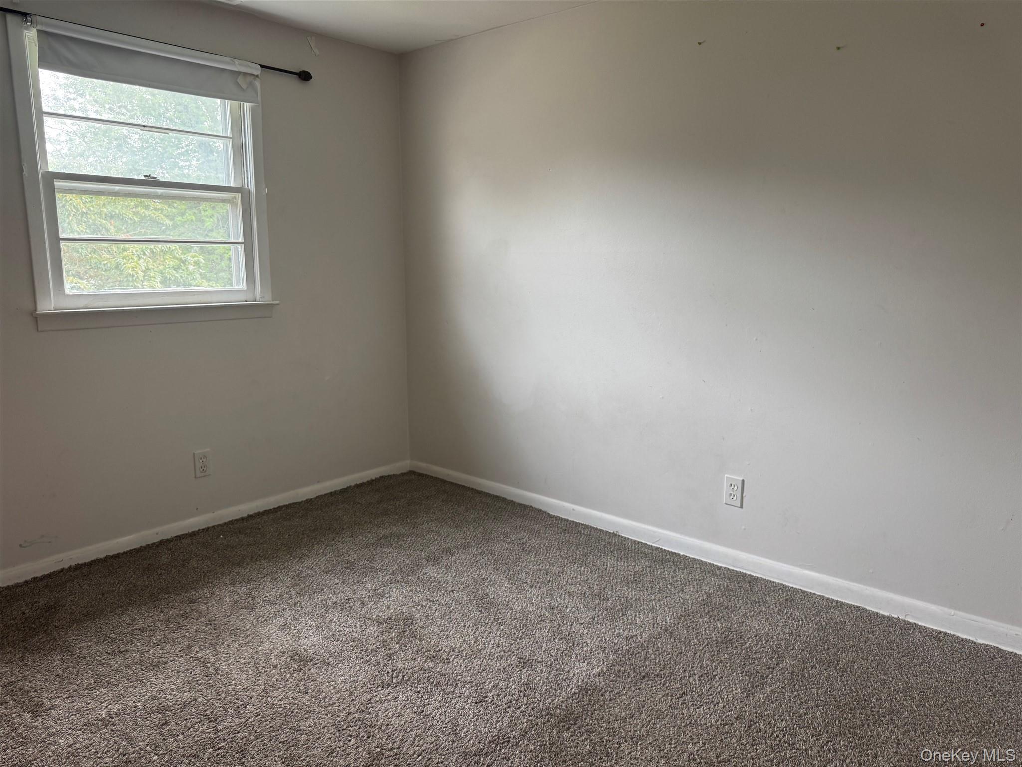 124 Parkdale Drive – For Rent photo 6
