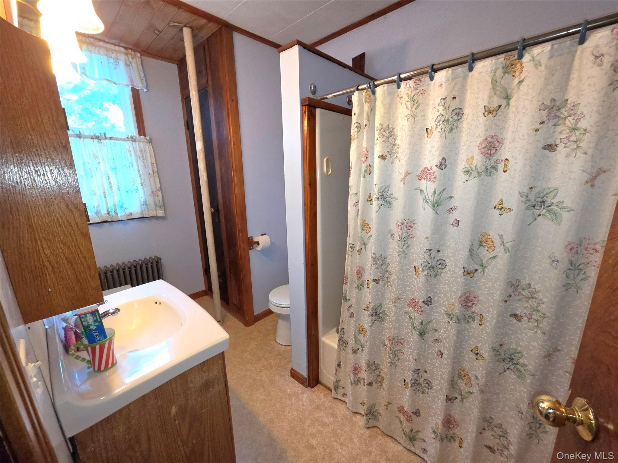 3019 Rt 17B – For Sale photo 15