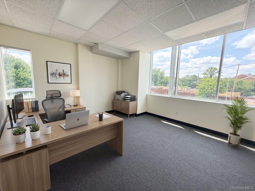 217 Merrick Road, Unit 212 photo 9